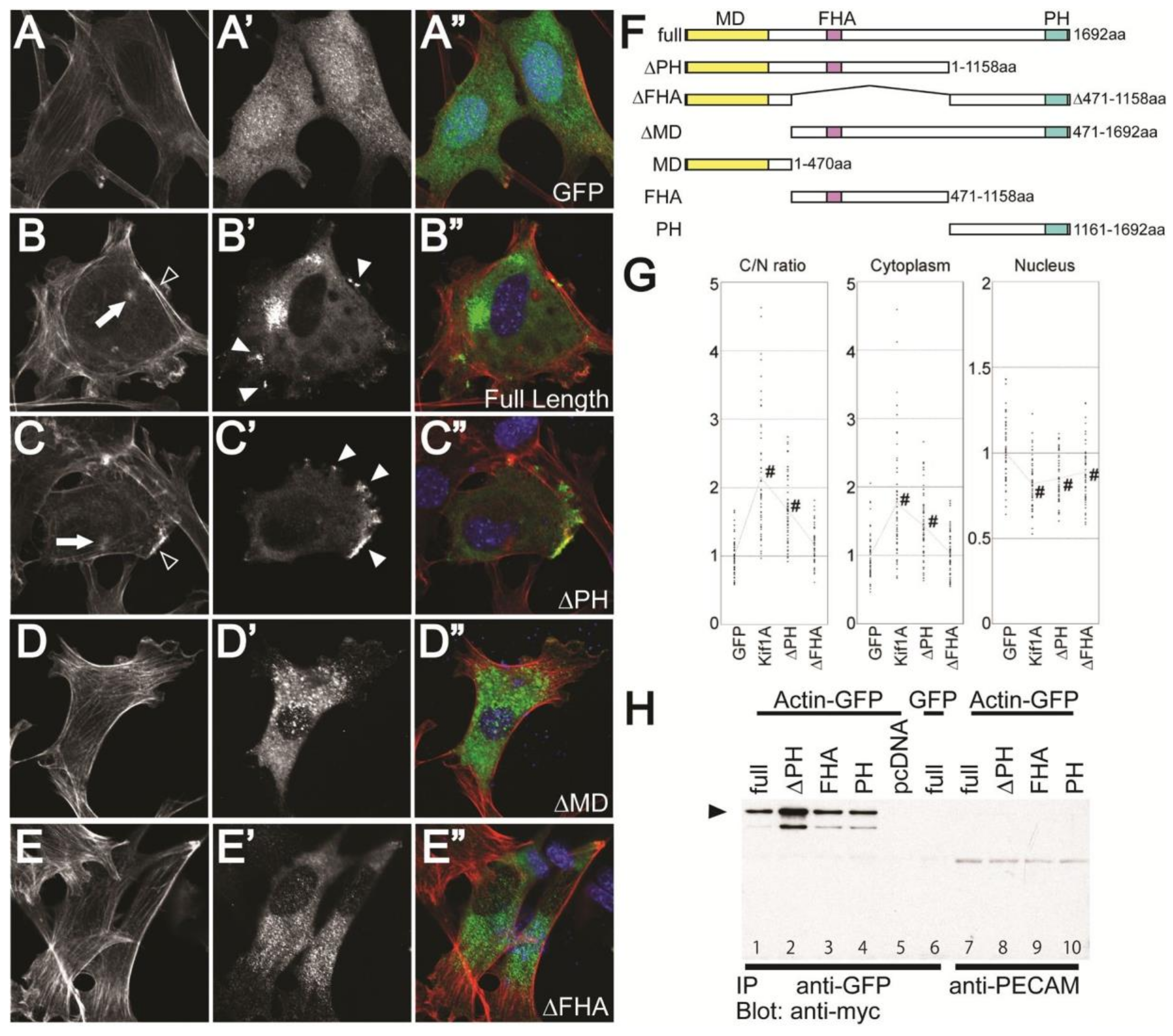 Jcdd 07 00022 g005 Jcdd 07 00022 g005