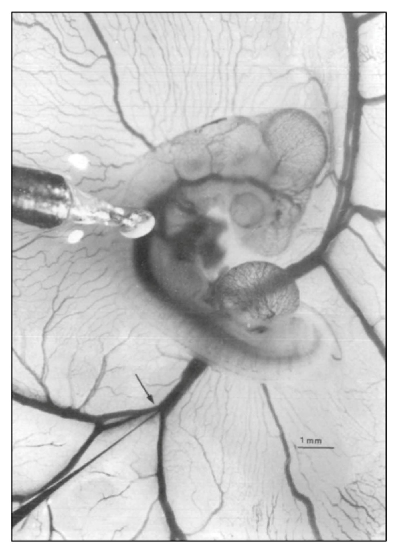 Jcdd 07 00023 g001 Jcdd 07 00023 g001