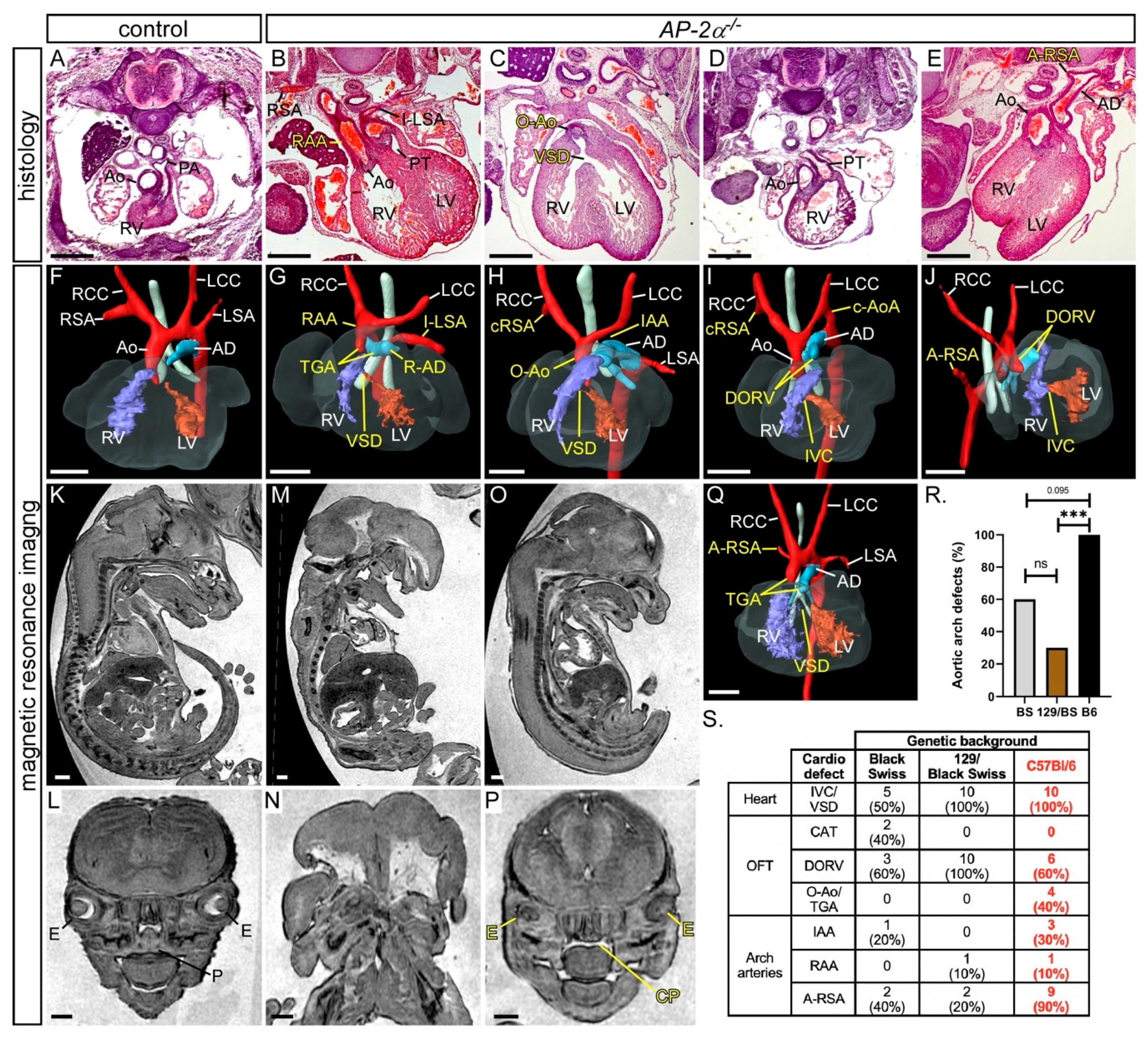 Jcdd 07 00027 g001 Jcdd 07 00027 g001