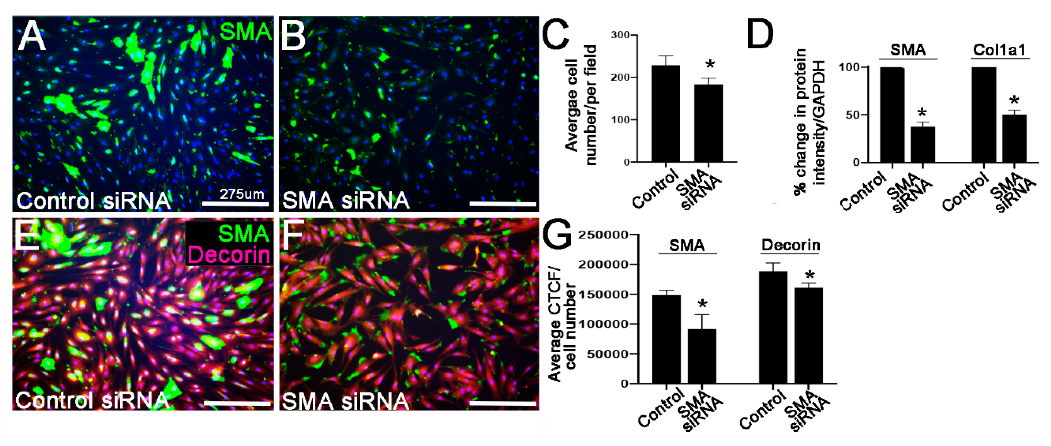 Jcdd 07 00032 g003 Jcdd 07 00032 g003