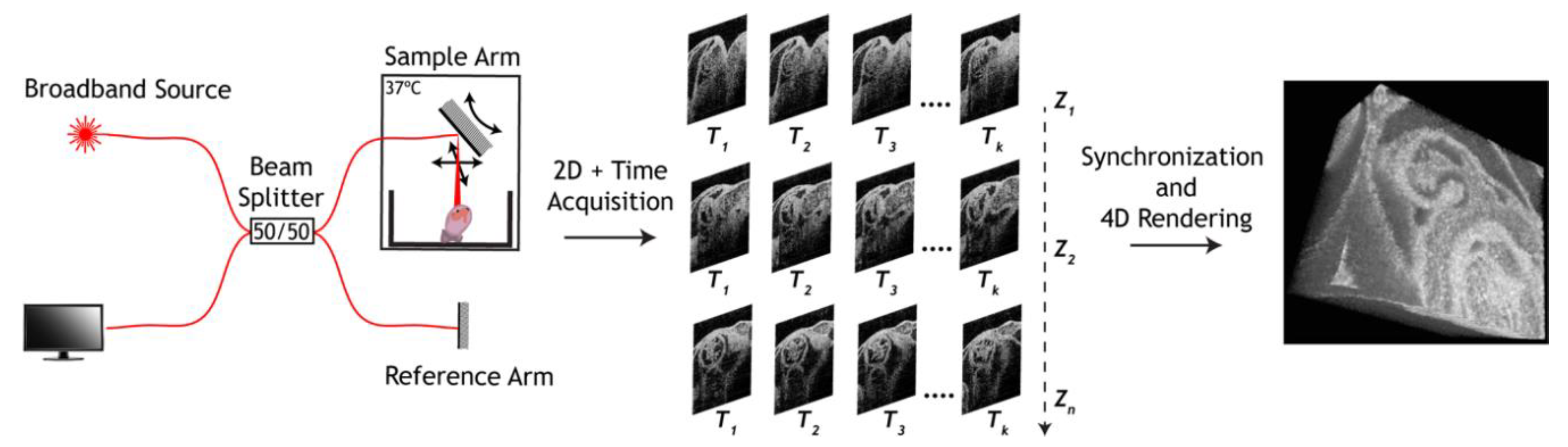 Jcdd 07 00042 g002 Jcdd 07 00042 g002