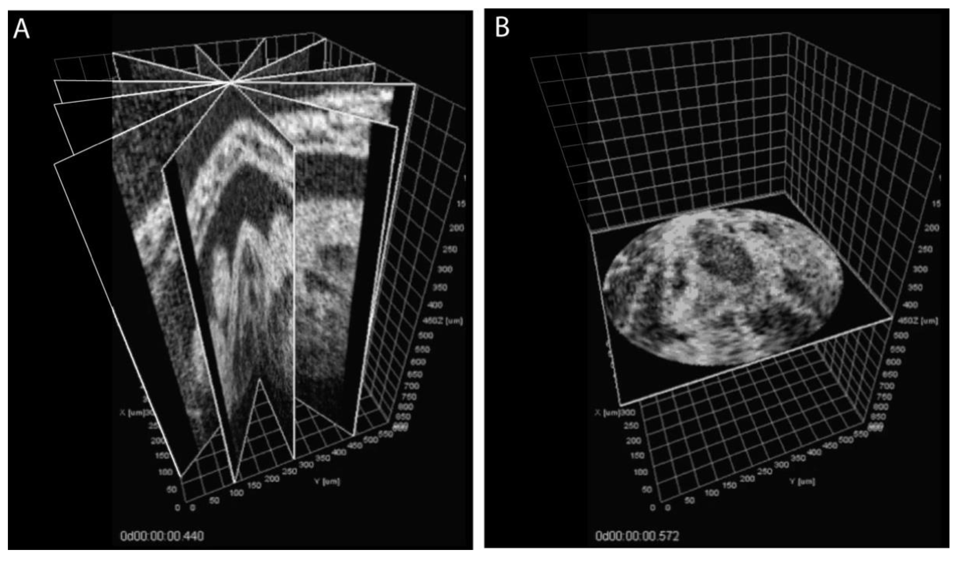 Jcdd 07 00042 g003 Jcdd 07 00042 g003