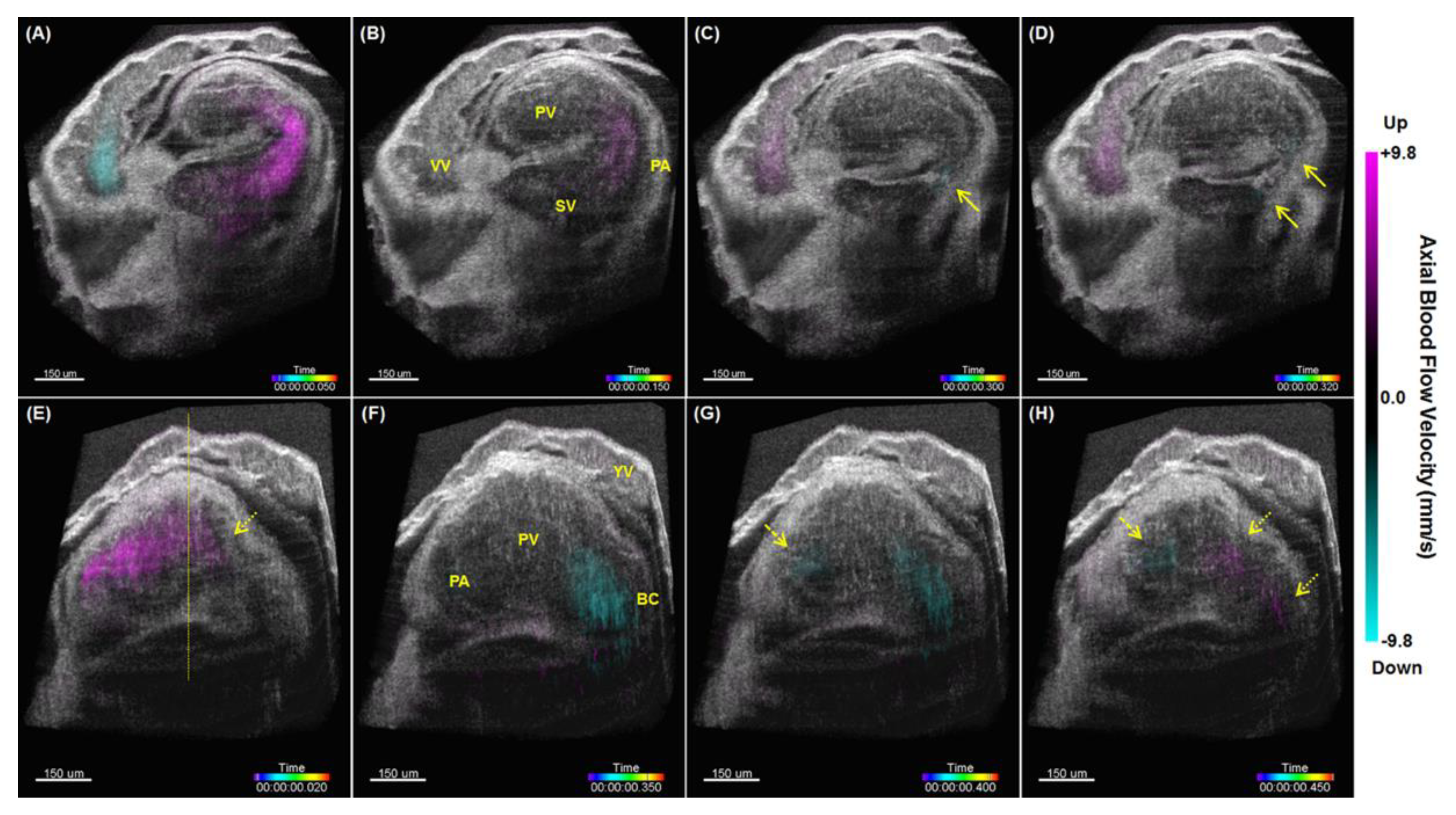 Jcdd 07 00042 g007 Jcdd 07 00042 g007