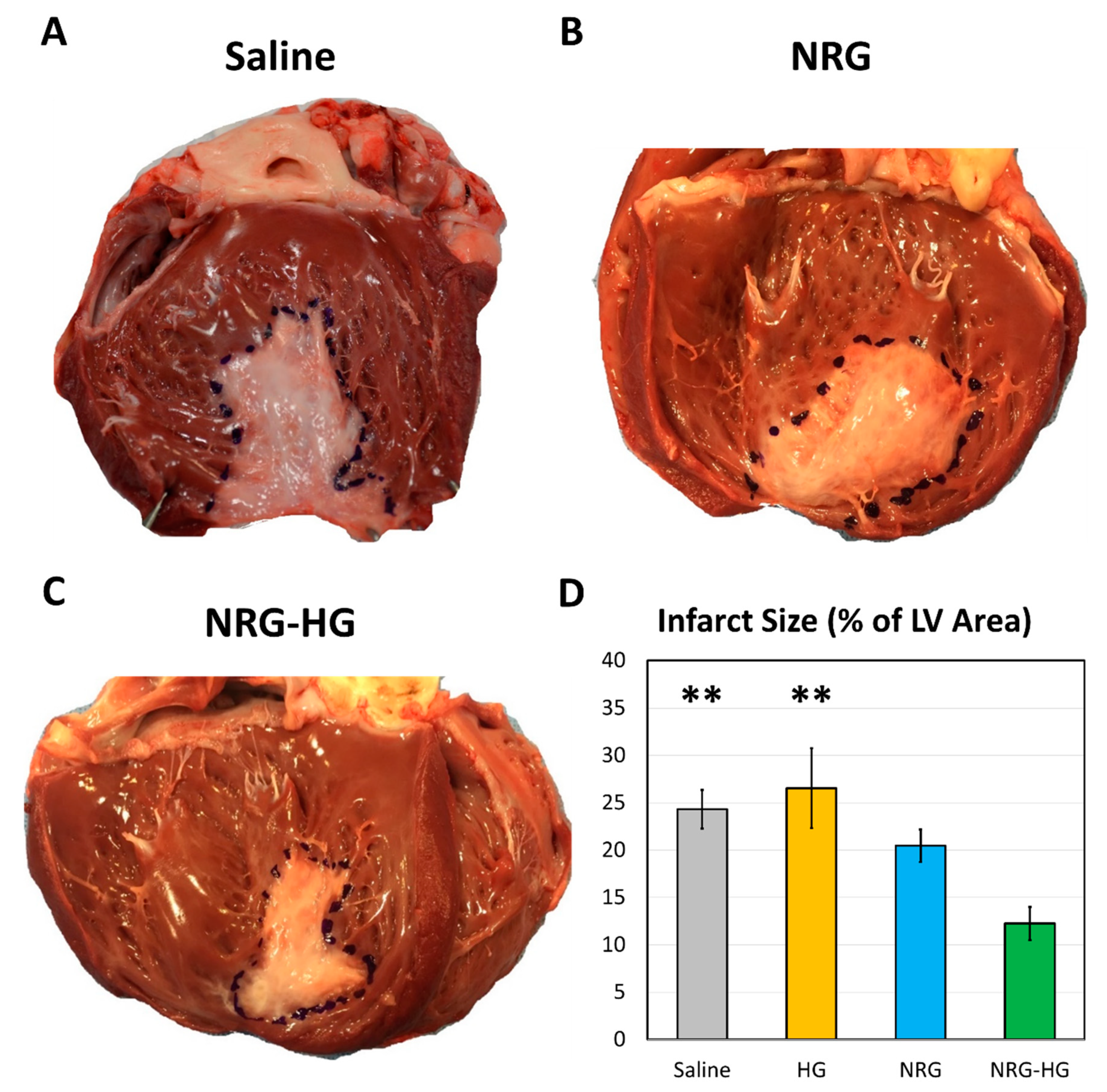 Jcdd 07 00053 g004 Jcdd 07 00053 g004