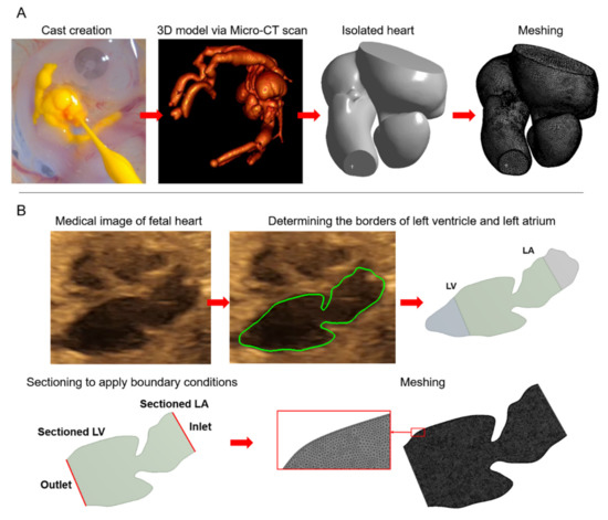 Computational Modeling of Blood Flow Hemodynamics for 