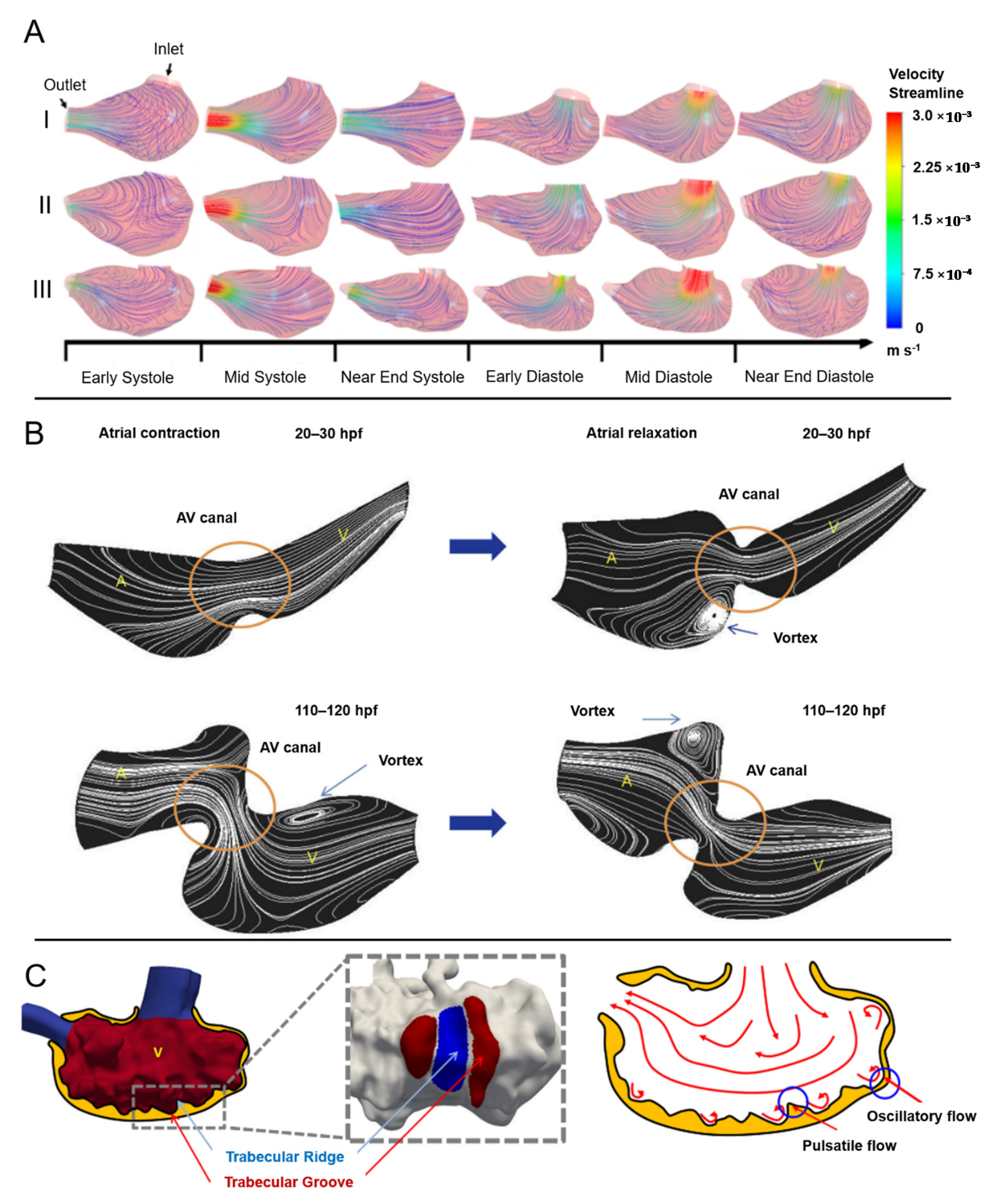 Jcdd 08 00014 g004 Jcdd 08 00014 g004