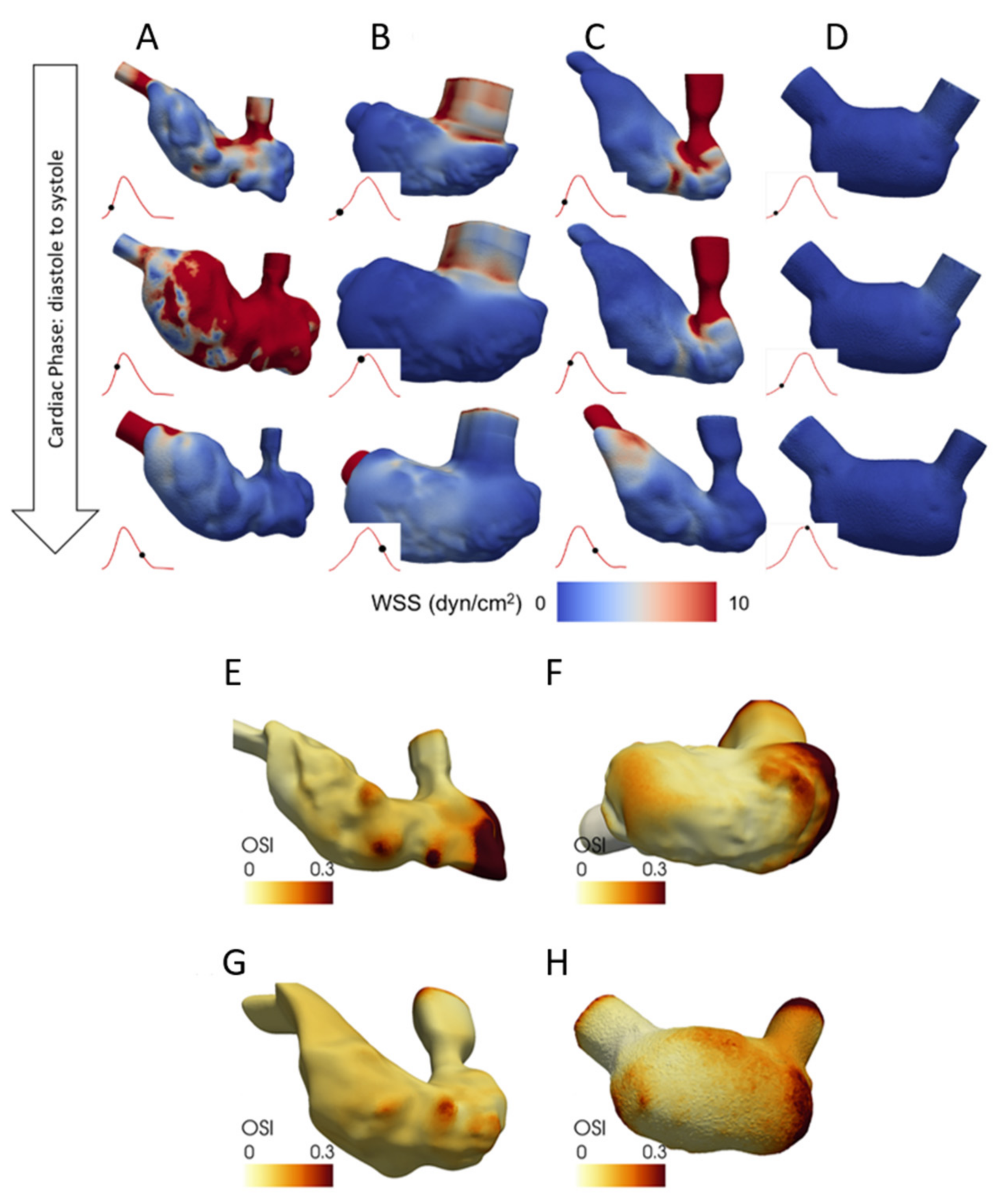 Jcdd 08 00014 g005 Jcdd 08 00014 g005