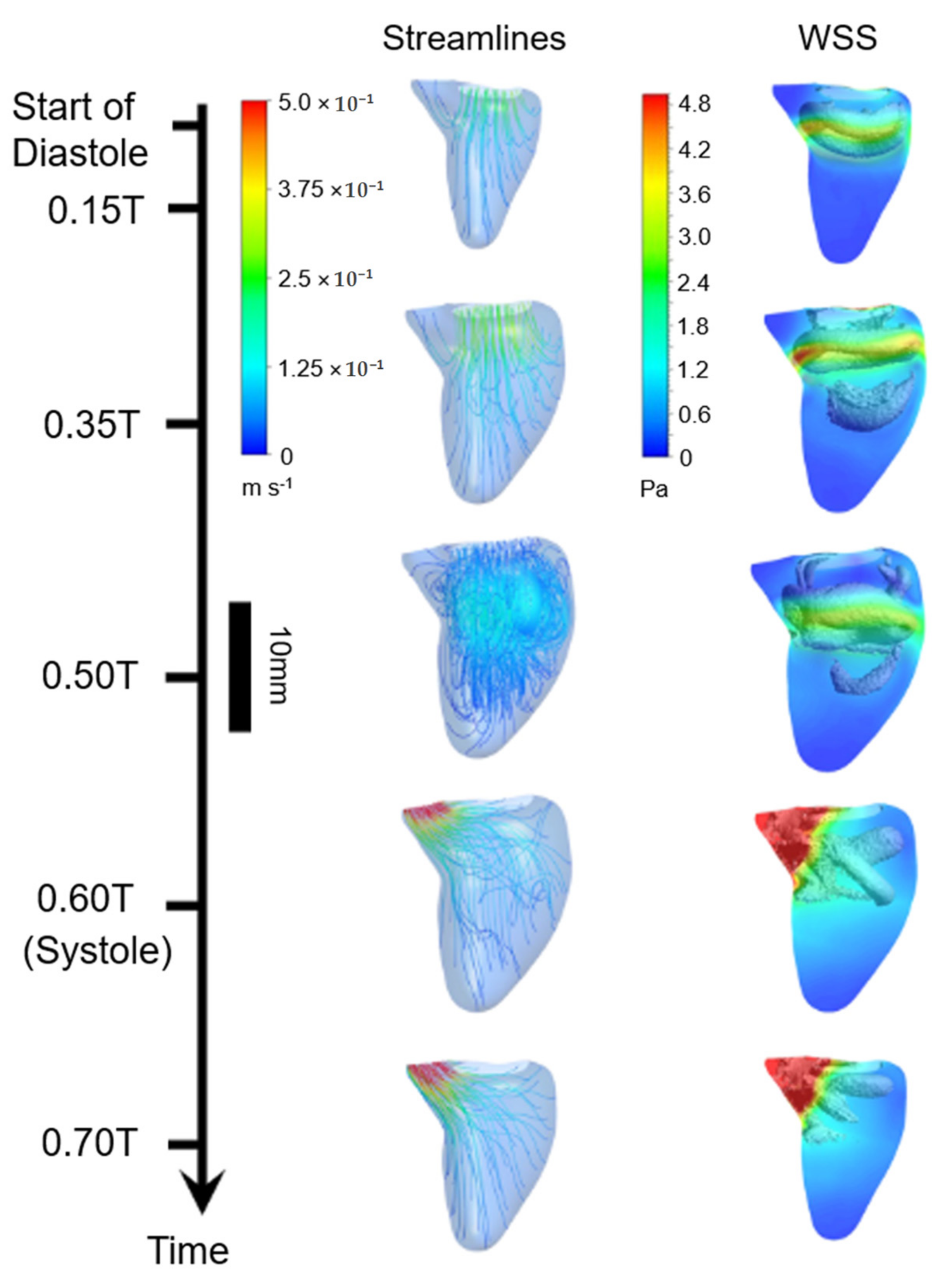 Jcdd 08 00014 g007 Jcdd 08 00014 g007