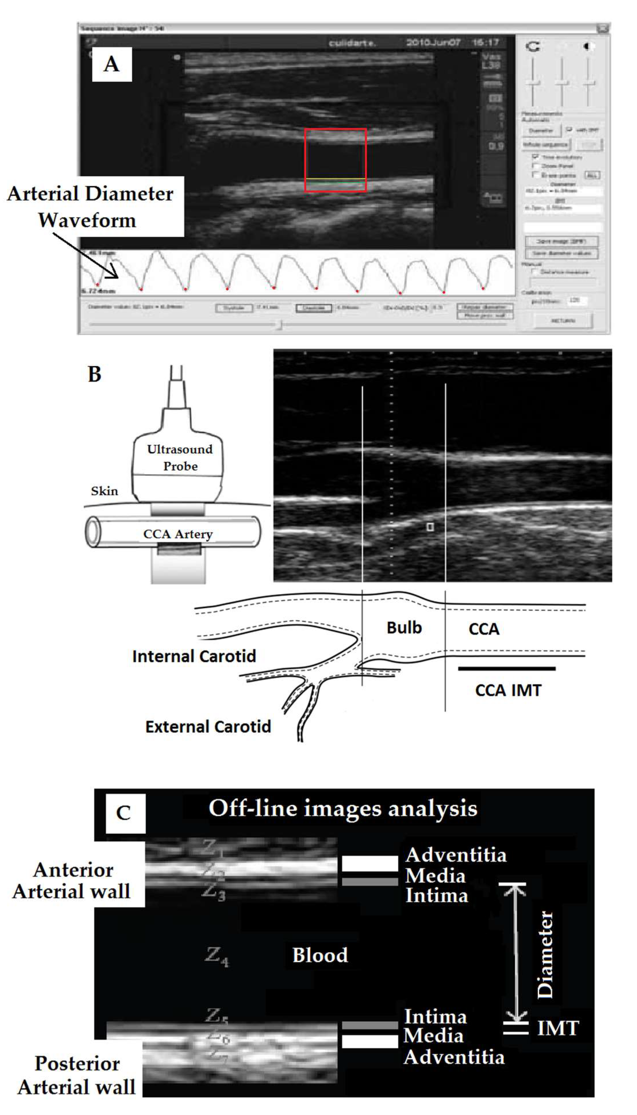 Jcdd 08 00020 g001 Jcdd 08 00020 g001