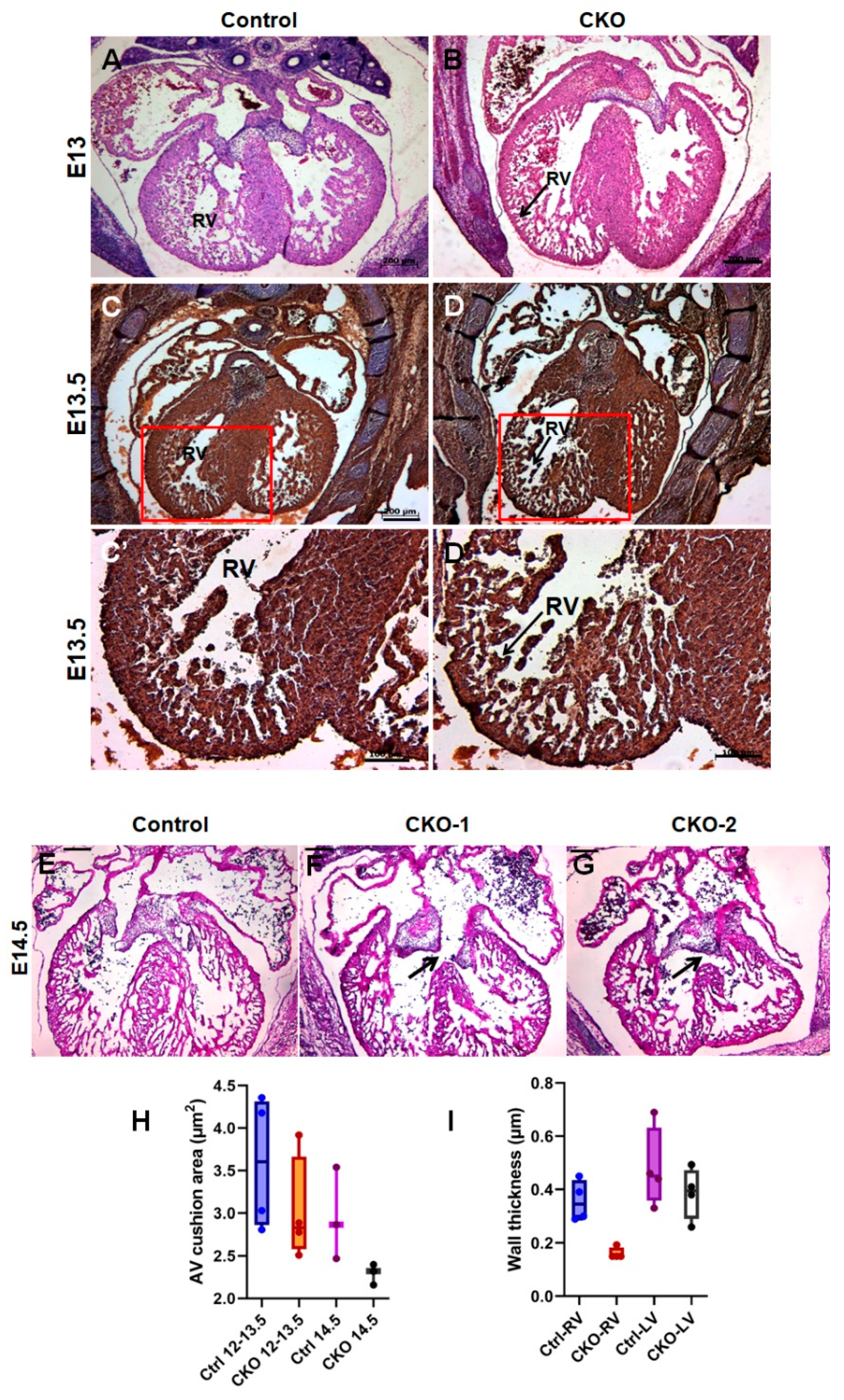 Jcdd 08 00026 g002 Jcdd 08 00026 g002