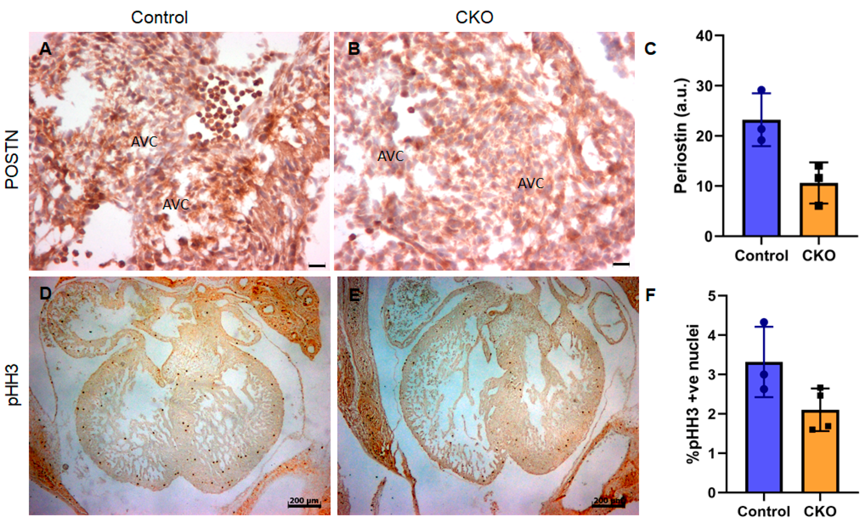 Jcdd 08 00026 g003 Jcdd 08 00026 g003