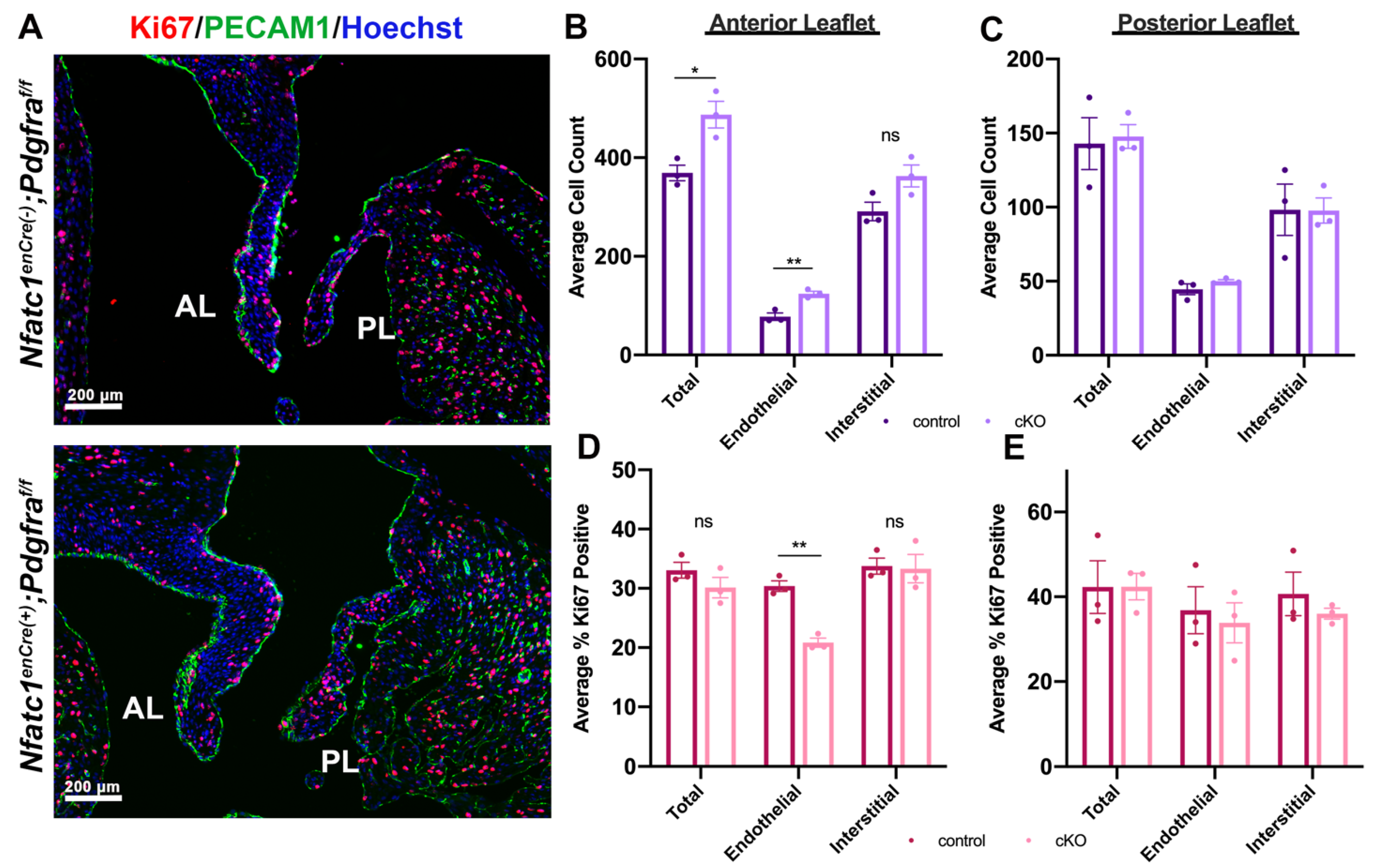 Jcdd 08 00028 g004 Jcdd 08 00028 g004