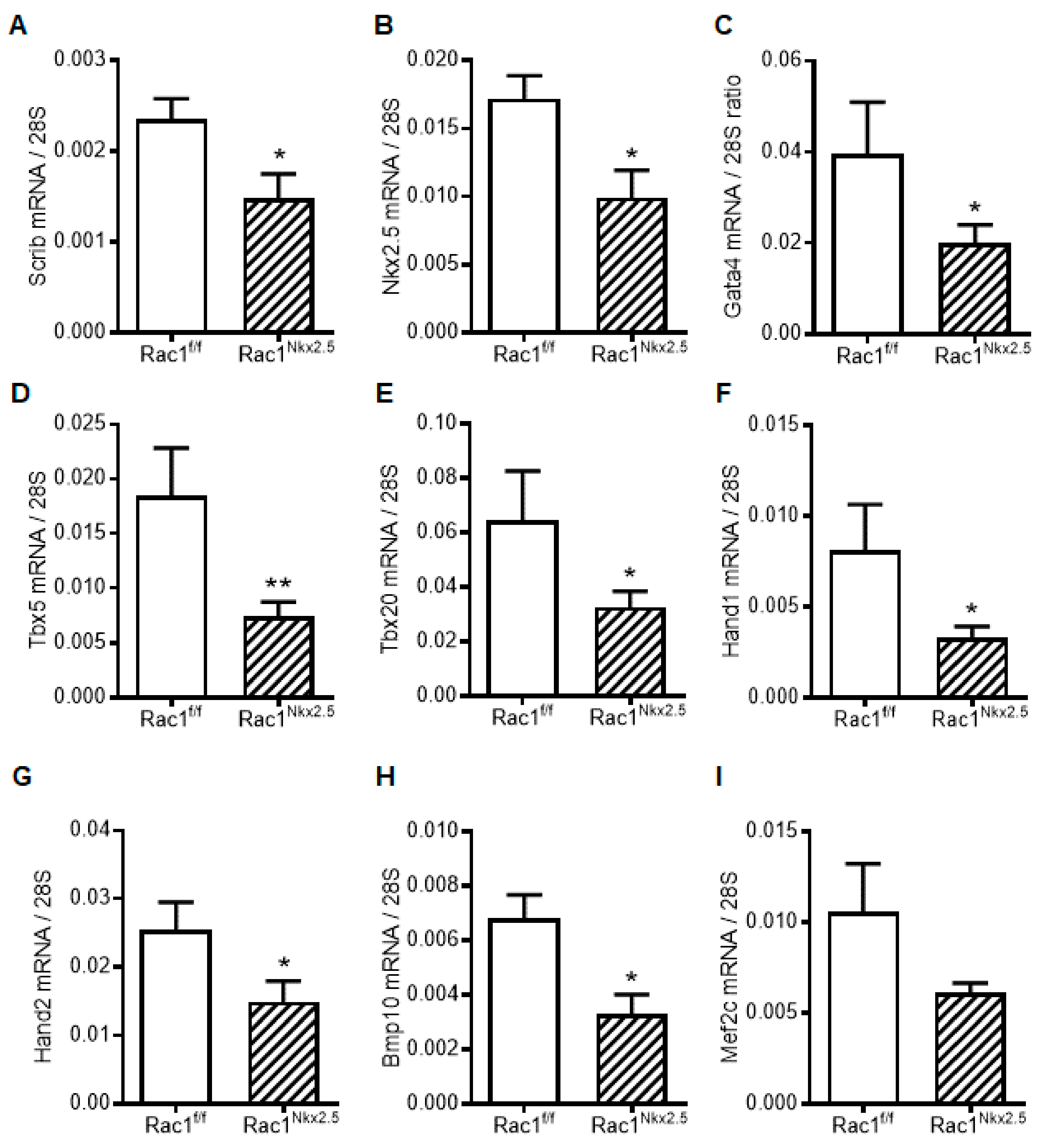 Jcdd 08 00029 g008 Jcdd 08 00029 g008