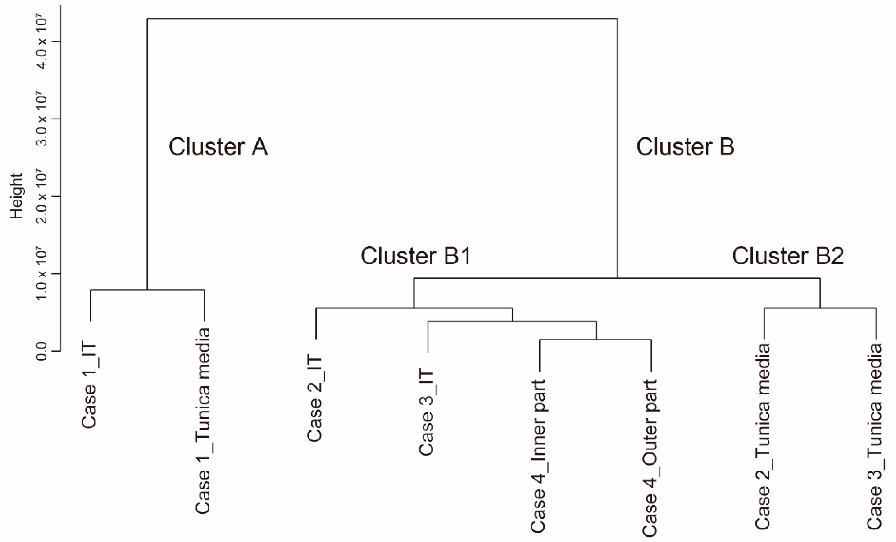 Jcdd 08 00045 g002 Jcdd 08 00045 g002