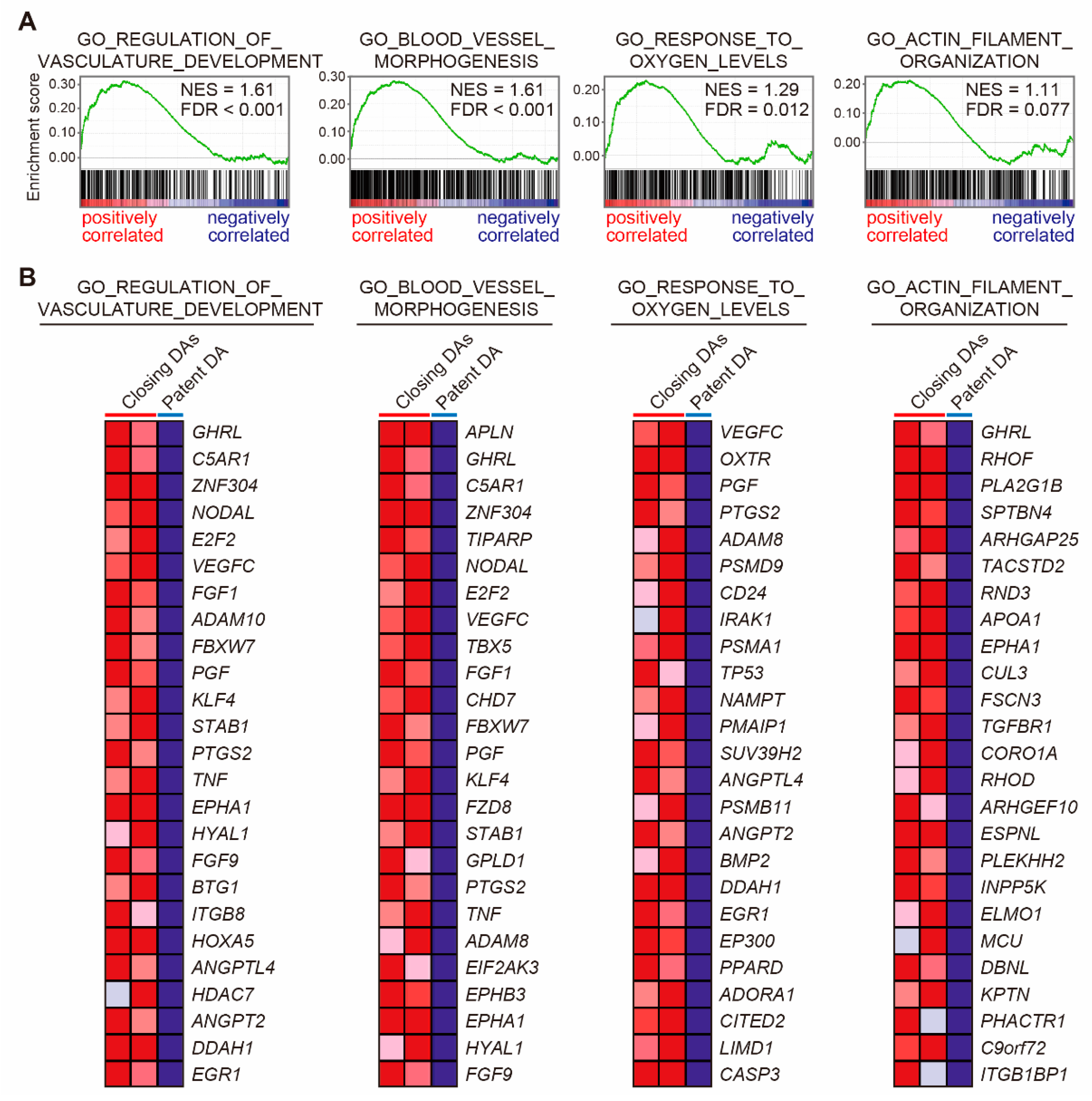 Jcdd 08 00045 g003 Jcdd 08 00045 g003