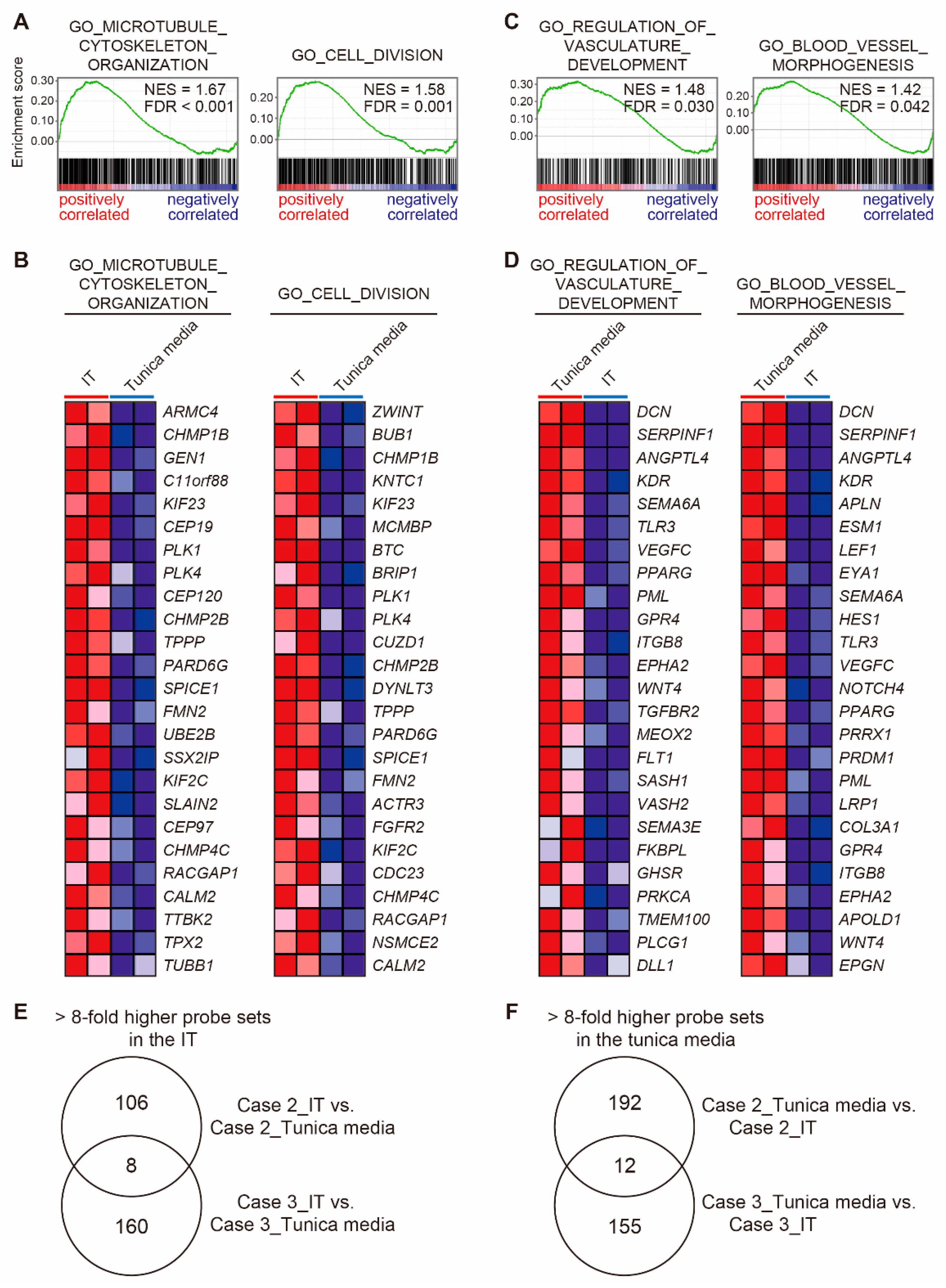 Jcdd 08 00045 g006 Jcdd 08 00045 g006