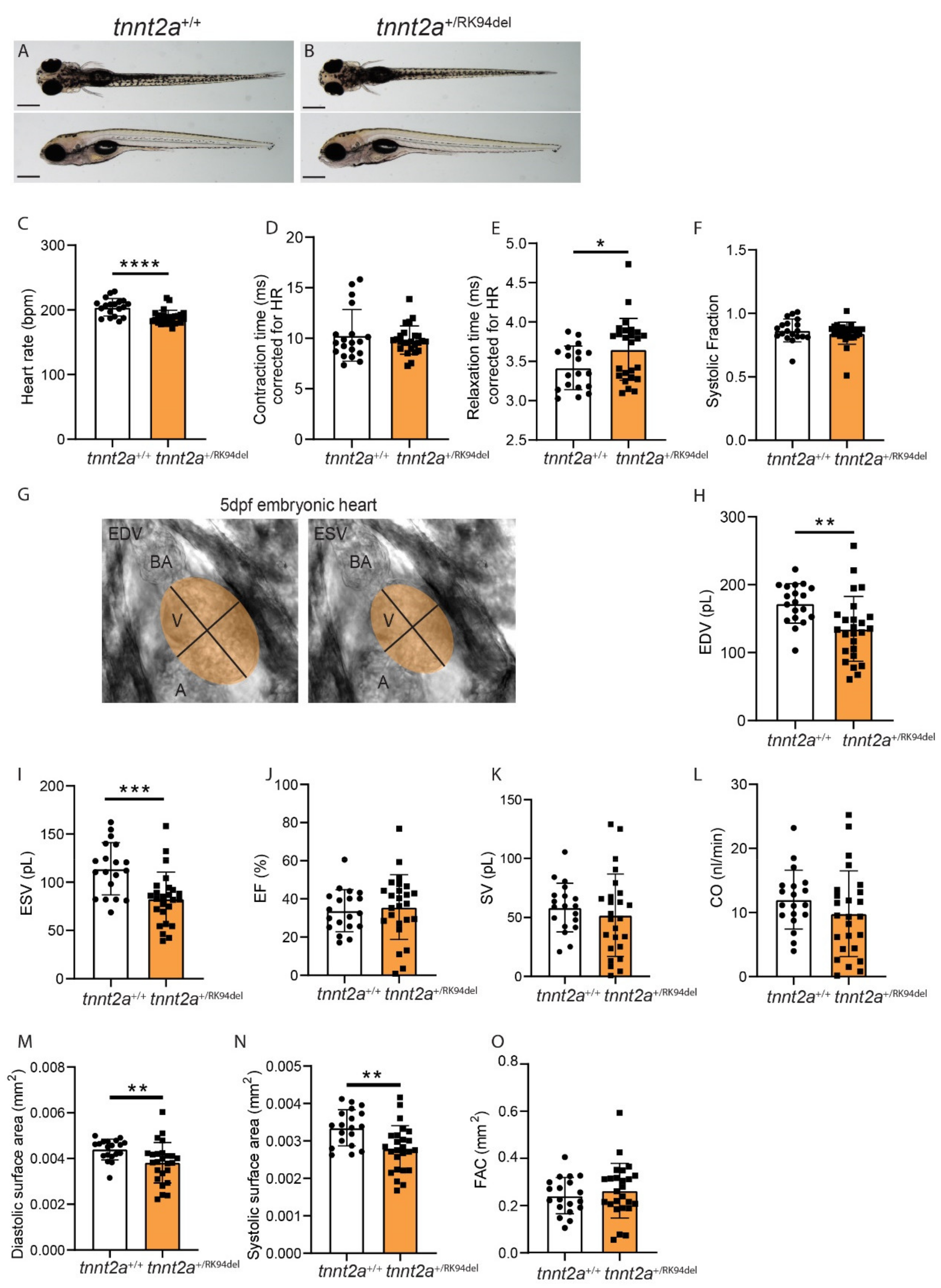Jcdd 08 00046 g004 Jcdd 08 00046 g004