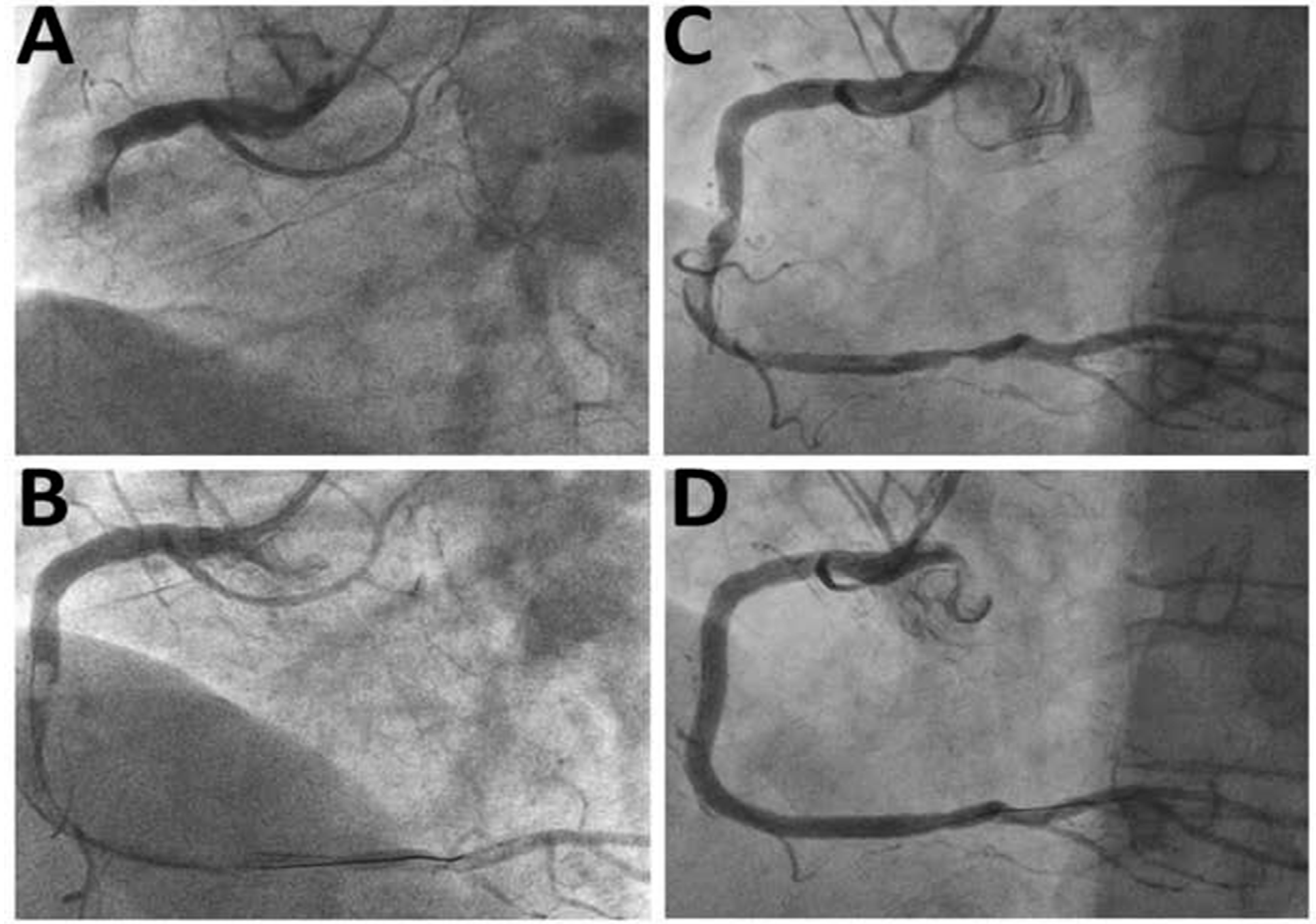 Jcdd 08 00059 g001 Jcdd 08 00059 g001