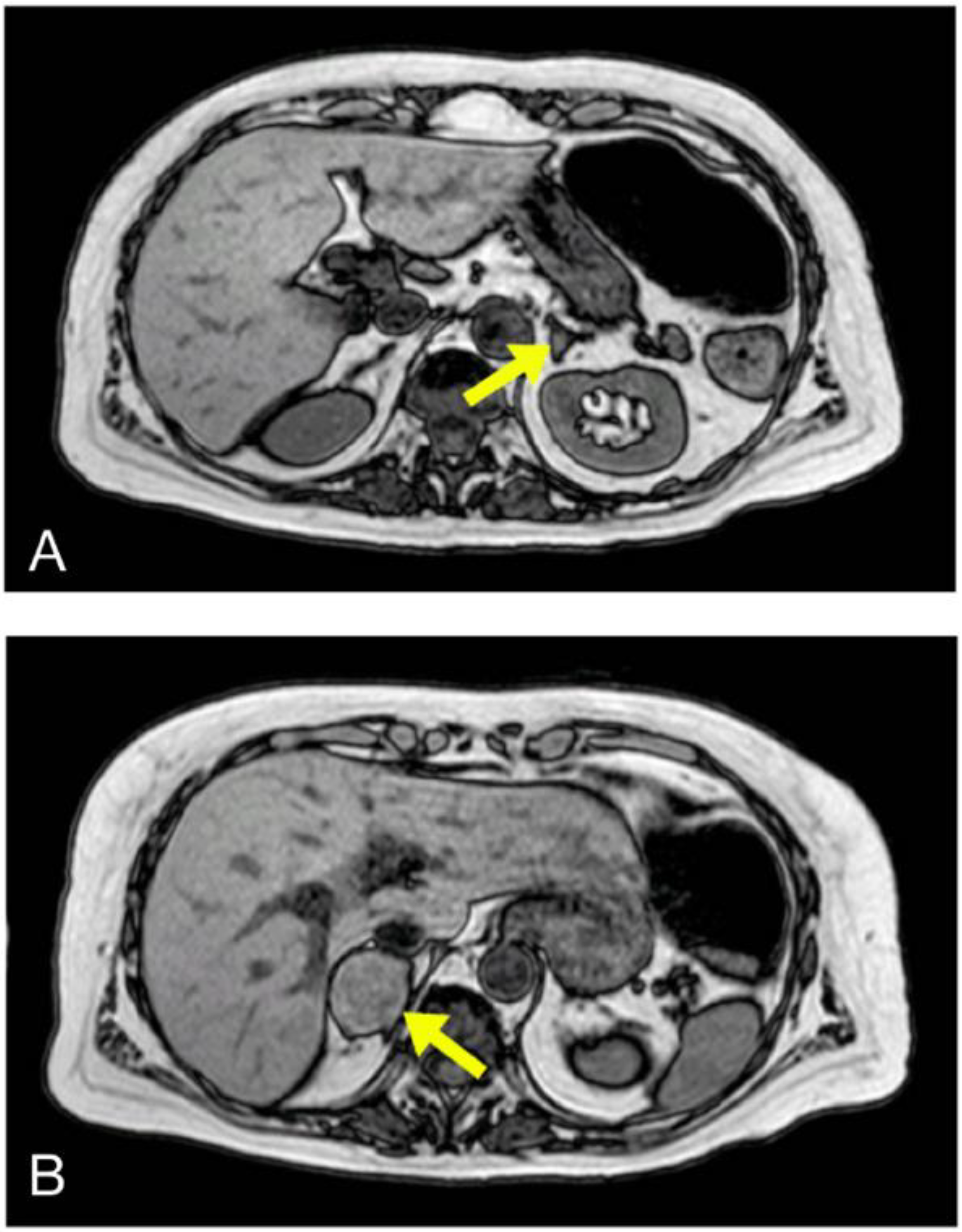 Jcdd 08 00071 g002 Jcdd 08 00071 g002