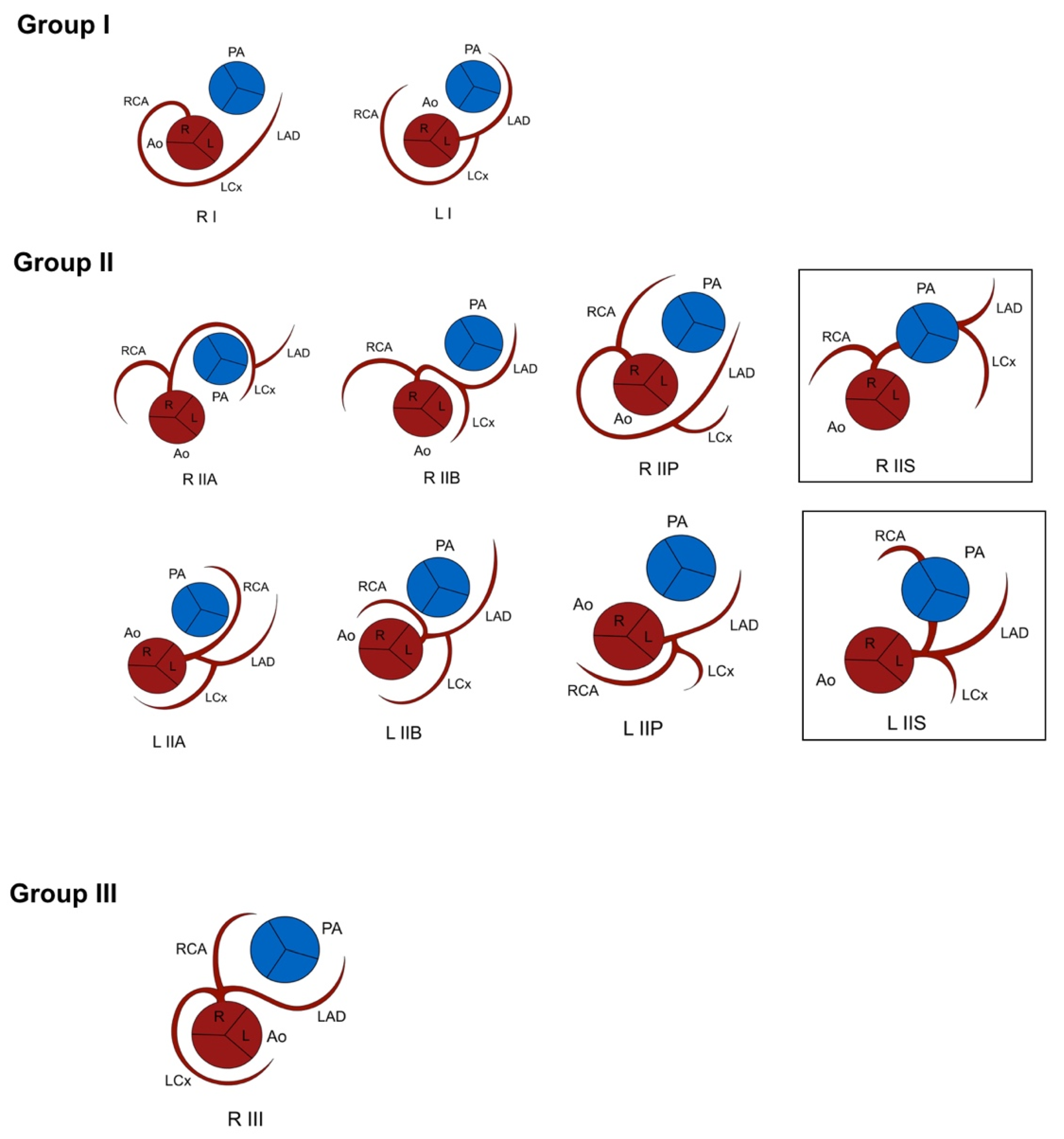 Jcdd 08 00093 g001 550