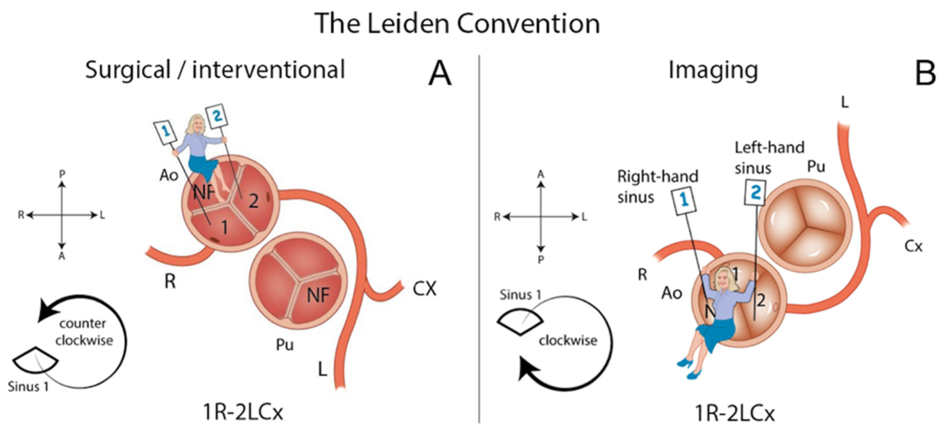 Jcdd 08 00093 g002 550