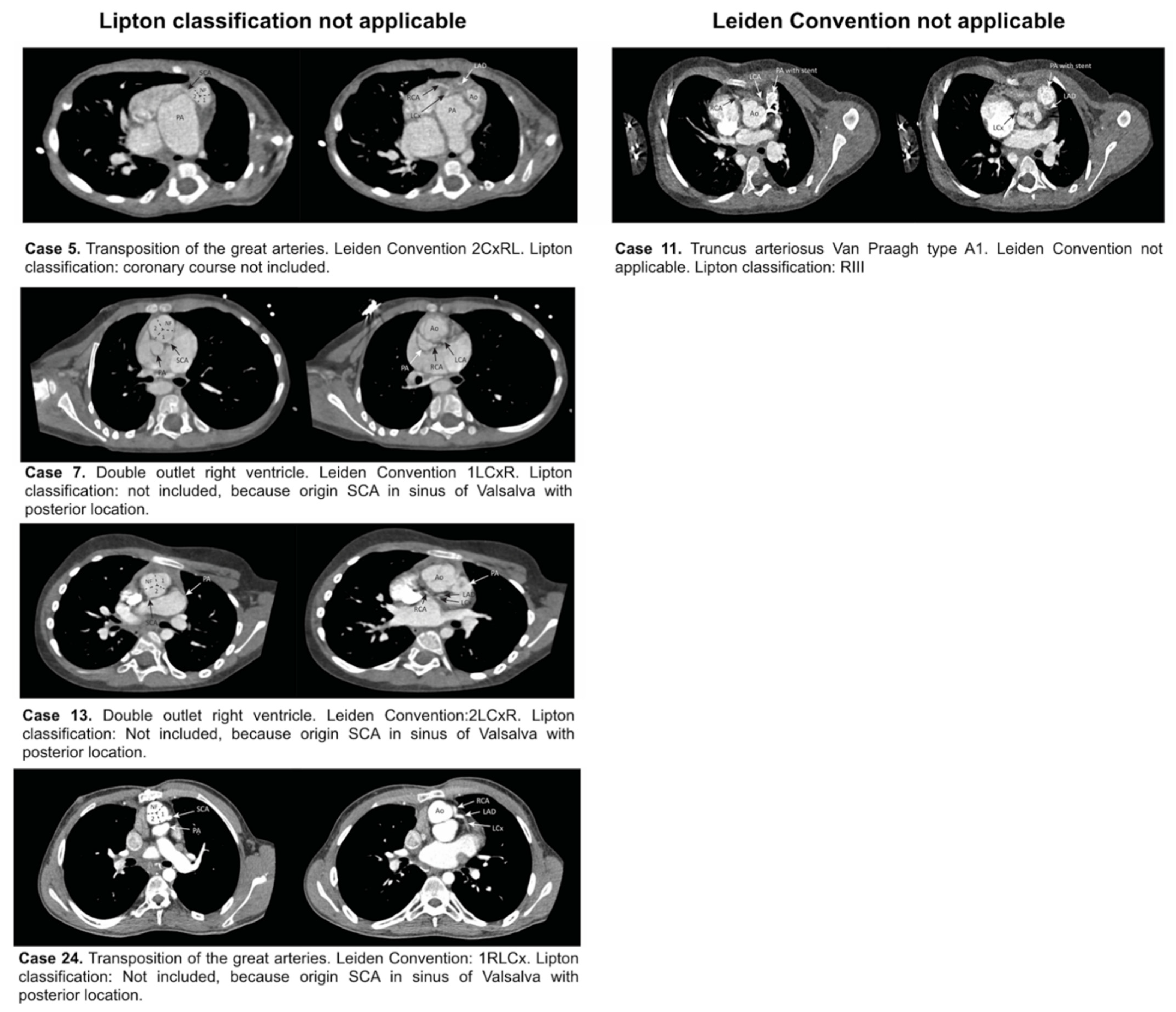 Jcdd 08 00093 g005 550