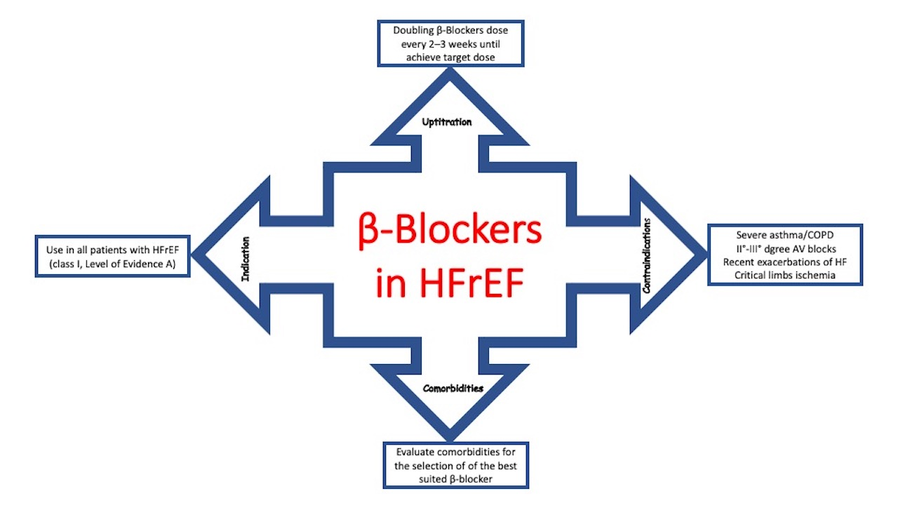 JCDD Free FullText The Use of βBlockers in Heart Failure with