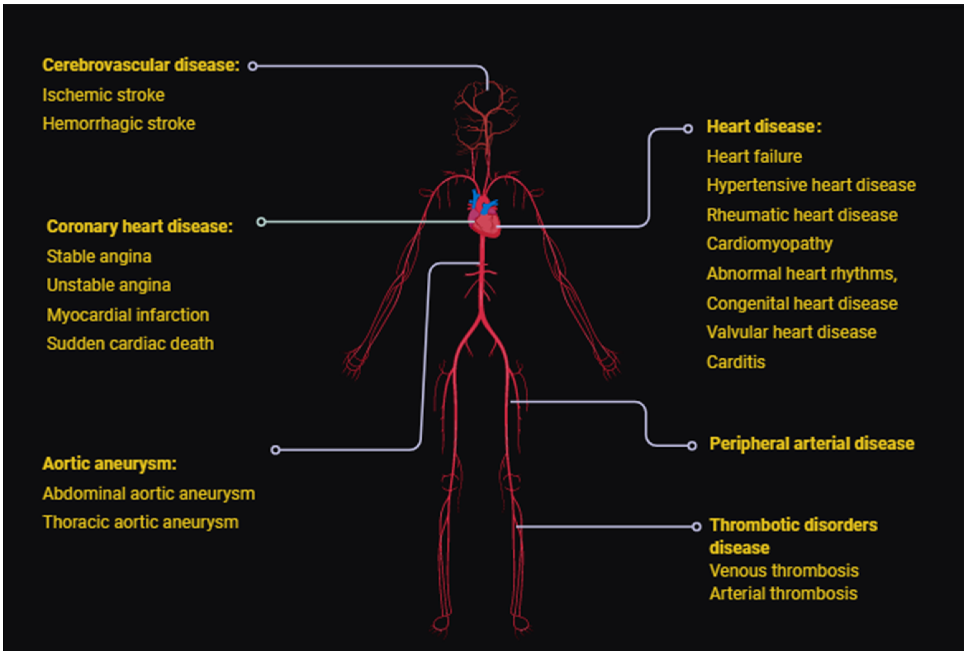 Jcdd 08 00103 g001 Jcdd 08 00103 g001