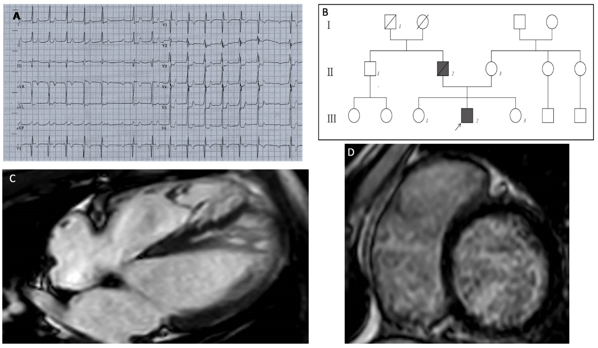 Jcdd 08 00109 g001 550