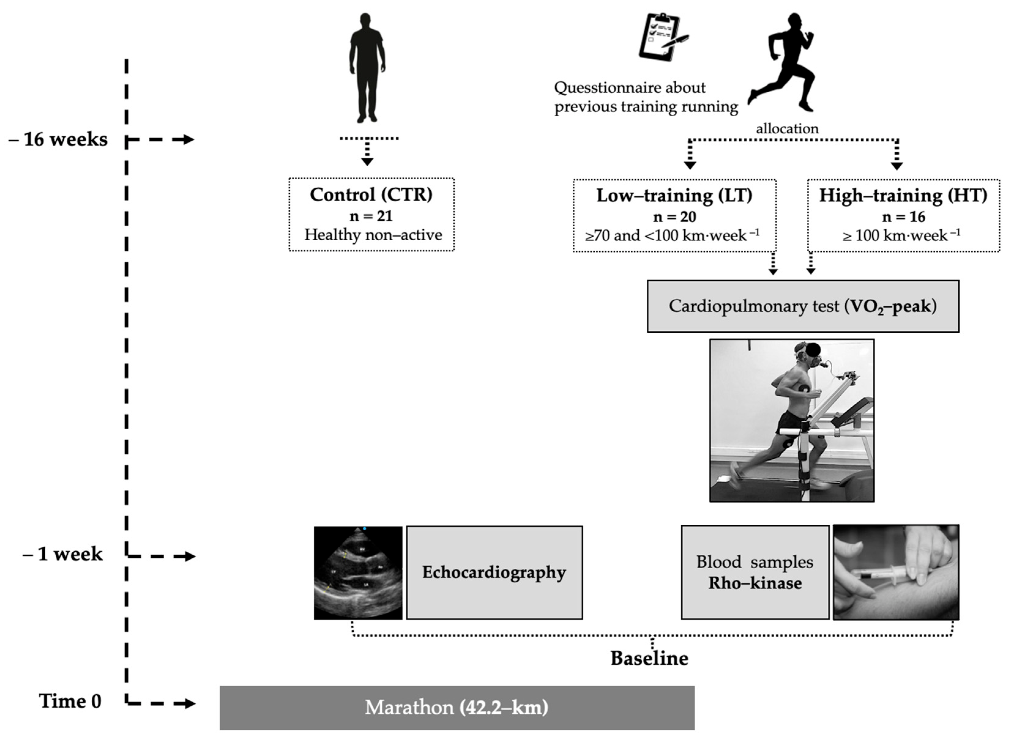 Jcdd 08 00118 g001 Jcdd 08 00118 g001