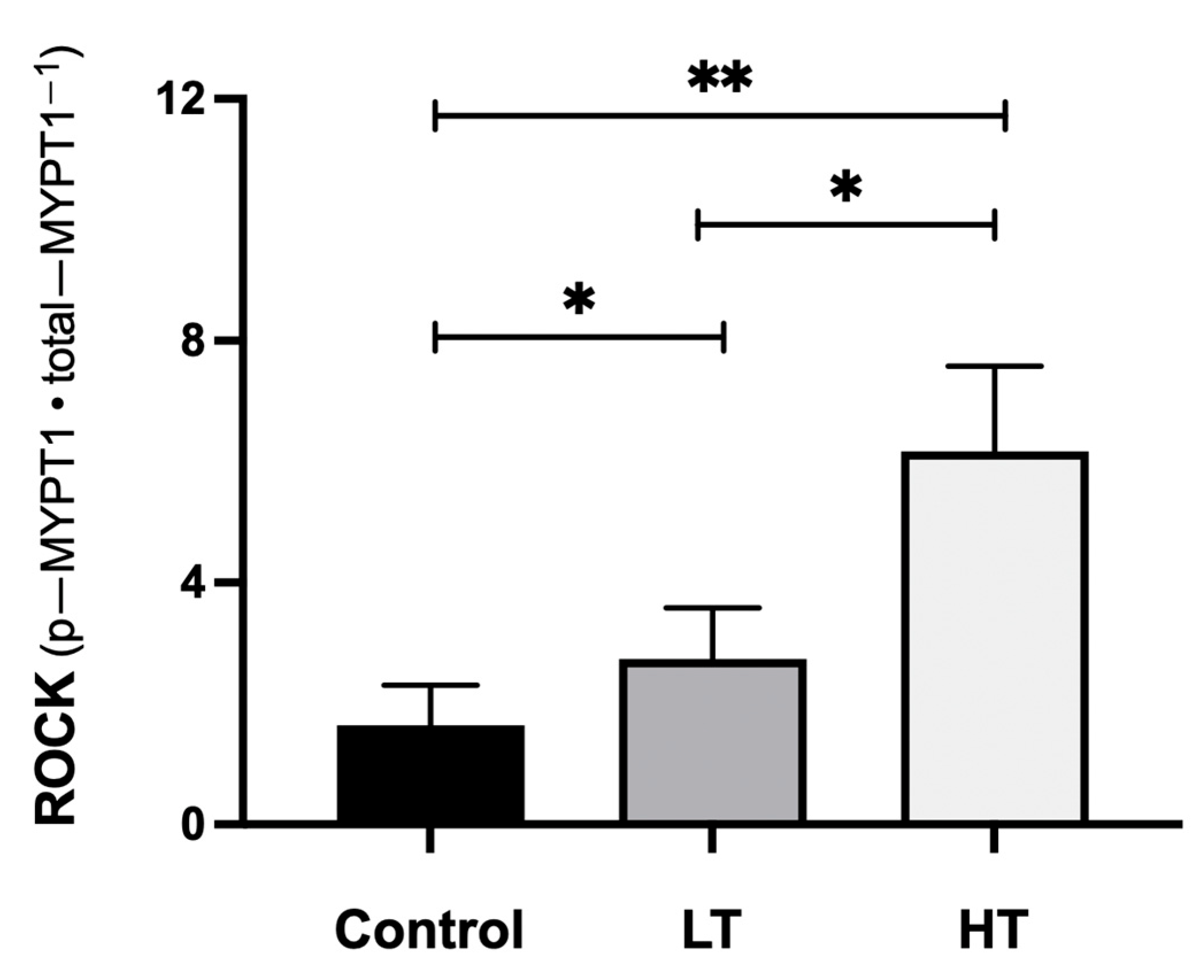 Jcdd 08 00118 g002 Jcdd 08 00118 g002