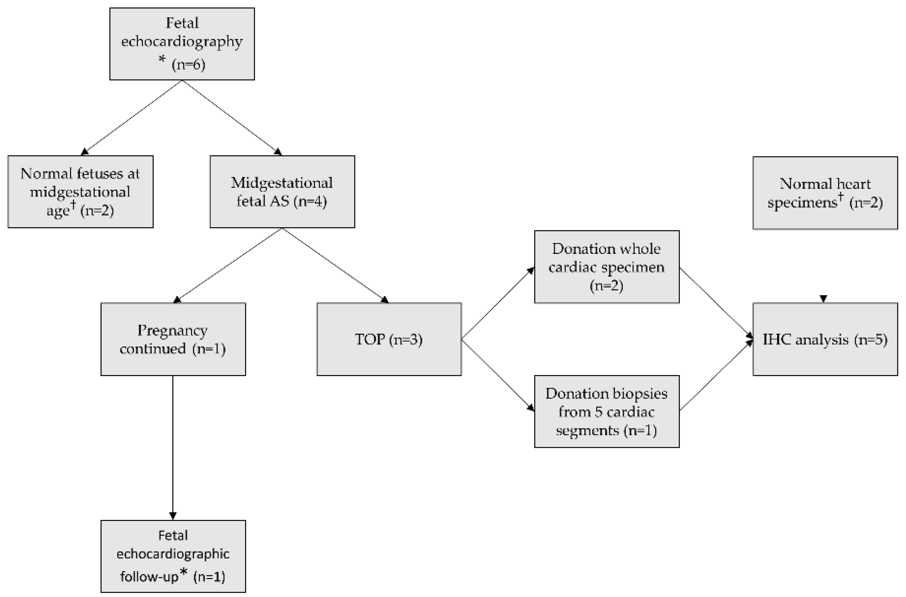 Jcdd 08 00121 g001 Jcdd 08 00121 g001