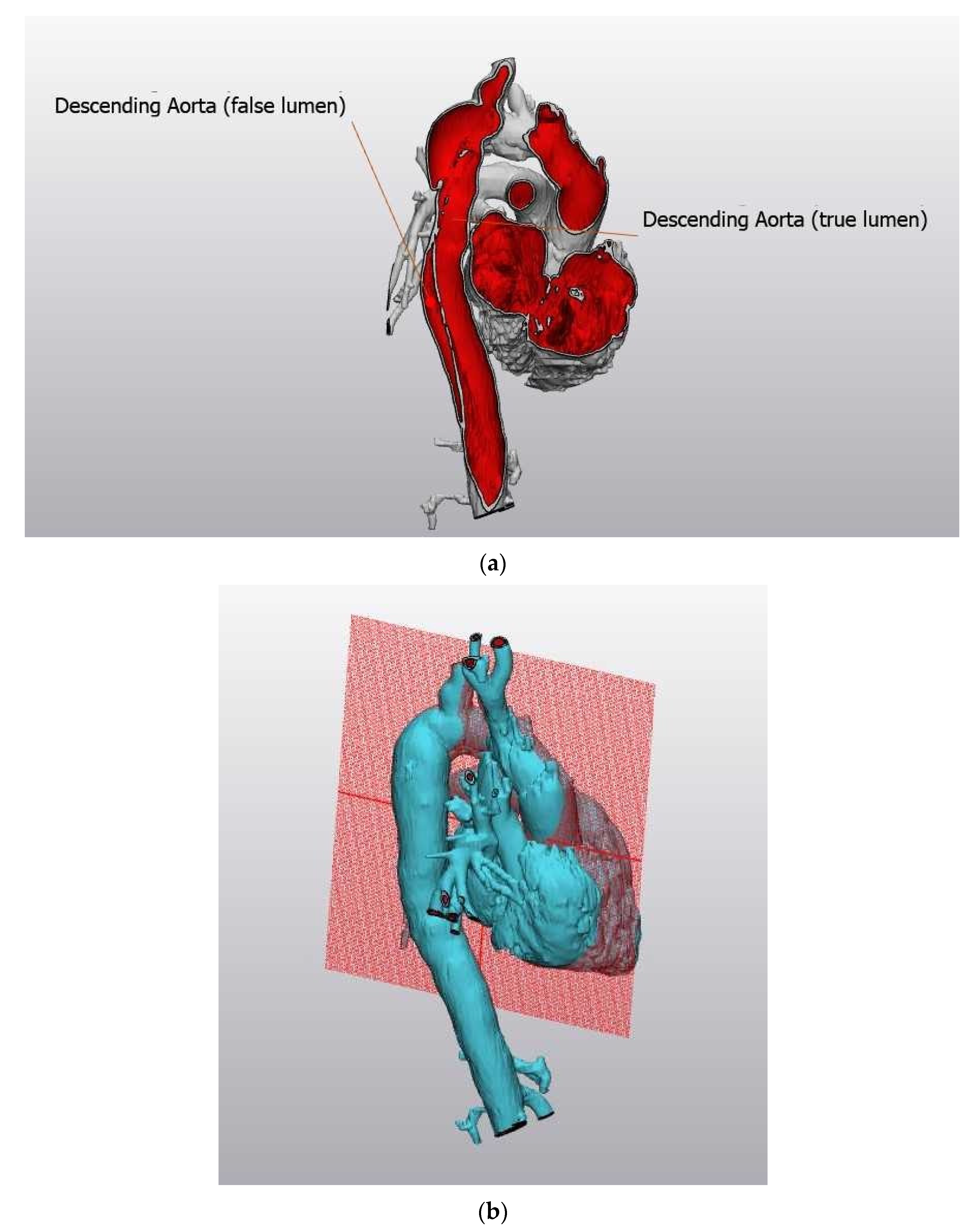 JCDD Free FullText A Review of Recent Developments in Turner