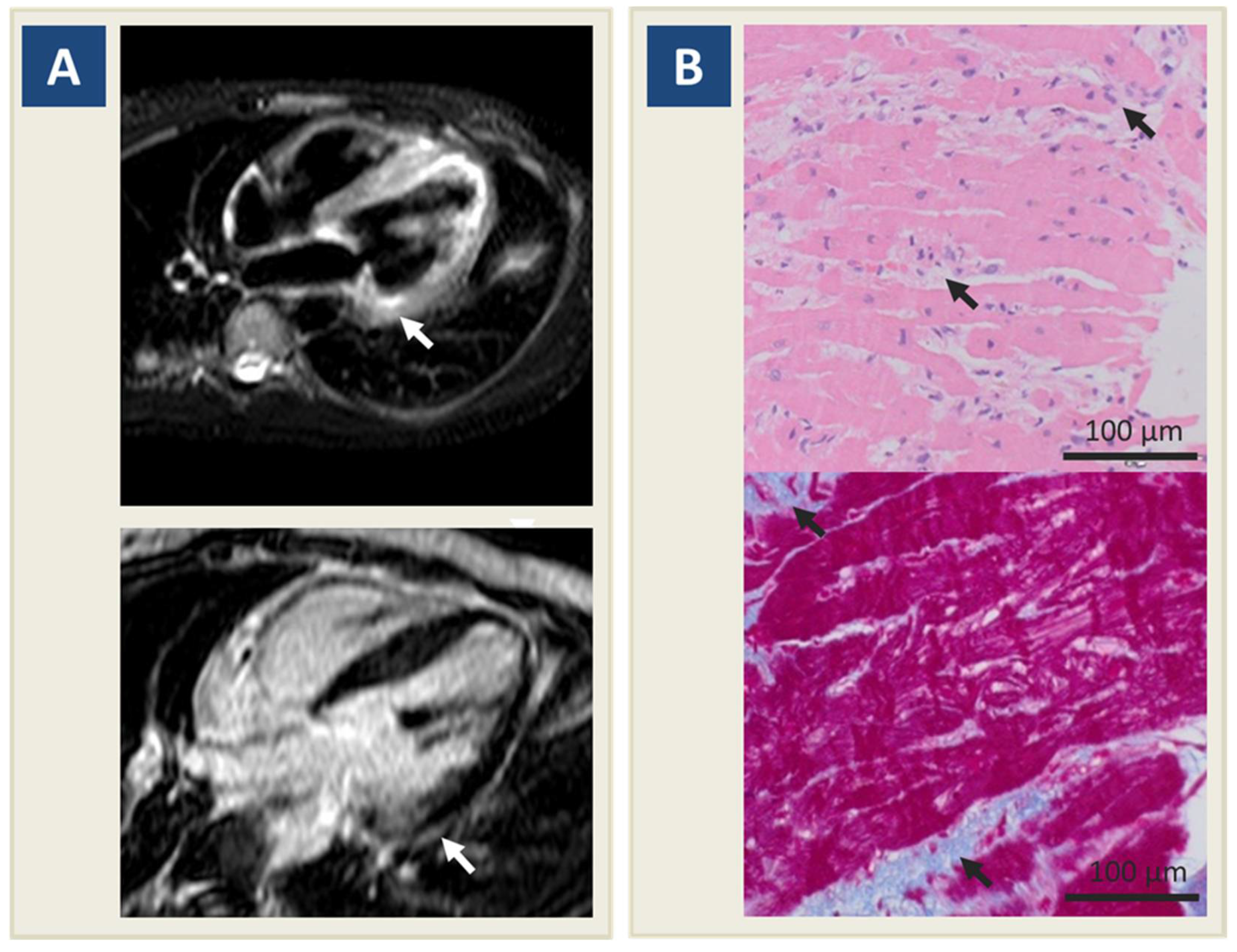 Jcdd 08 00151 g001 Jcdd 08 00151 g001