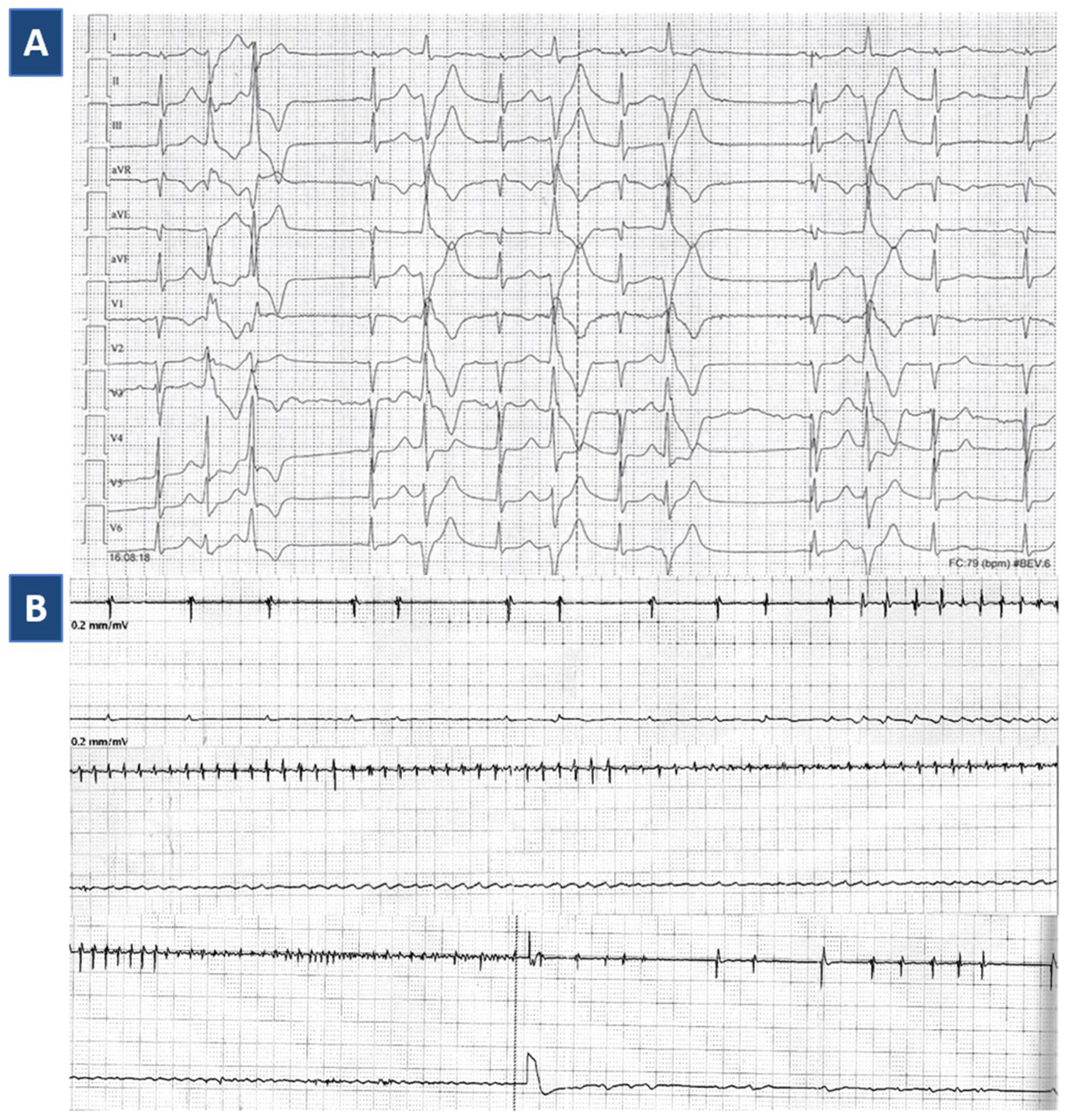 Jcdd 08 00151 g002 Jcdd 08 00151 g002