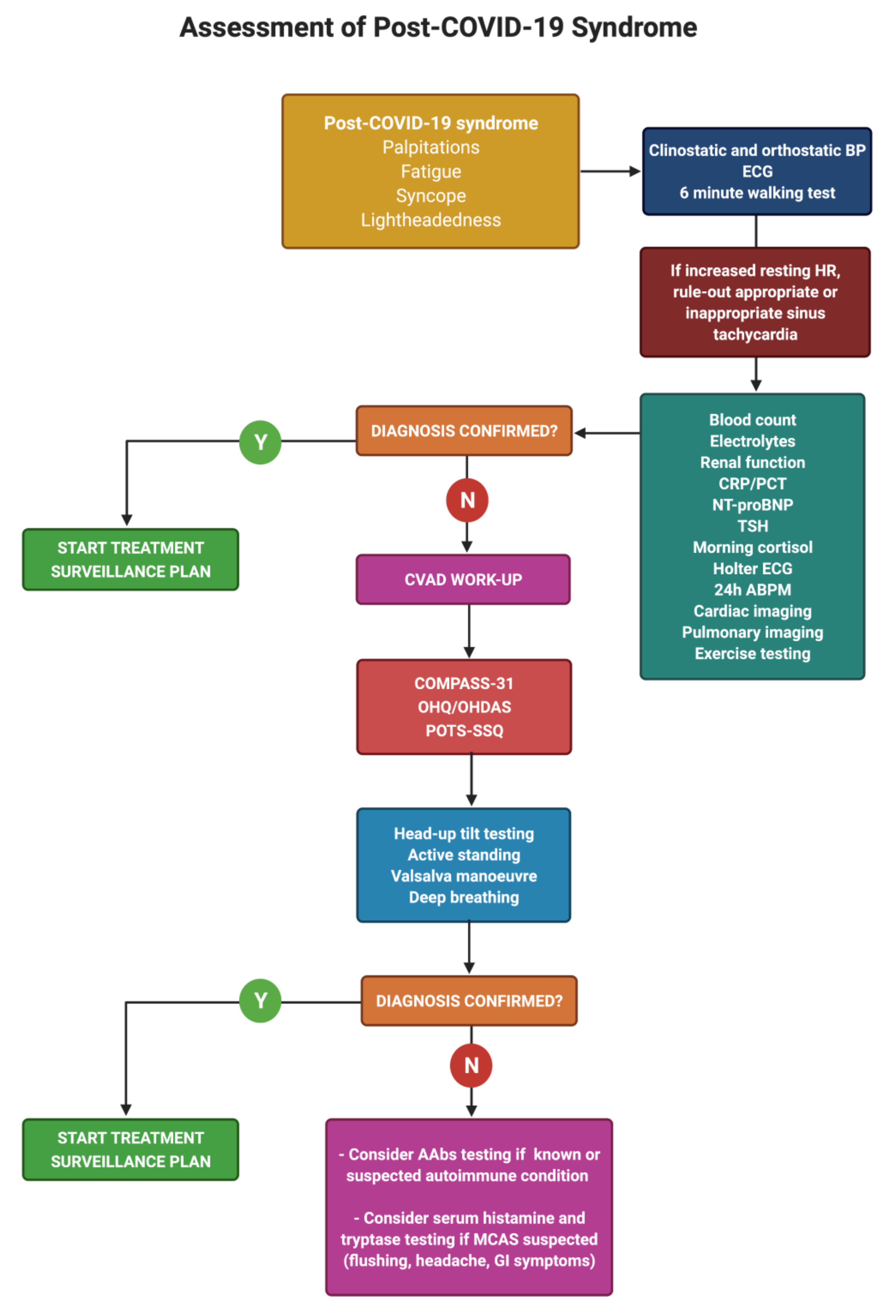 Postural orthostatic tachycardia syndrome (POTS) and other autonomic  disorders after COVID-19 infection: a case series of 20 patients