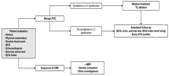 Assessment of subtle cardiac dysfunction induced by premature ventricular  contraction using two-dimensional strain echocardiography and the effects  of successful ablation