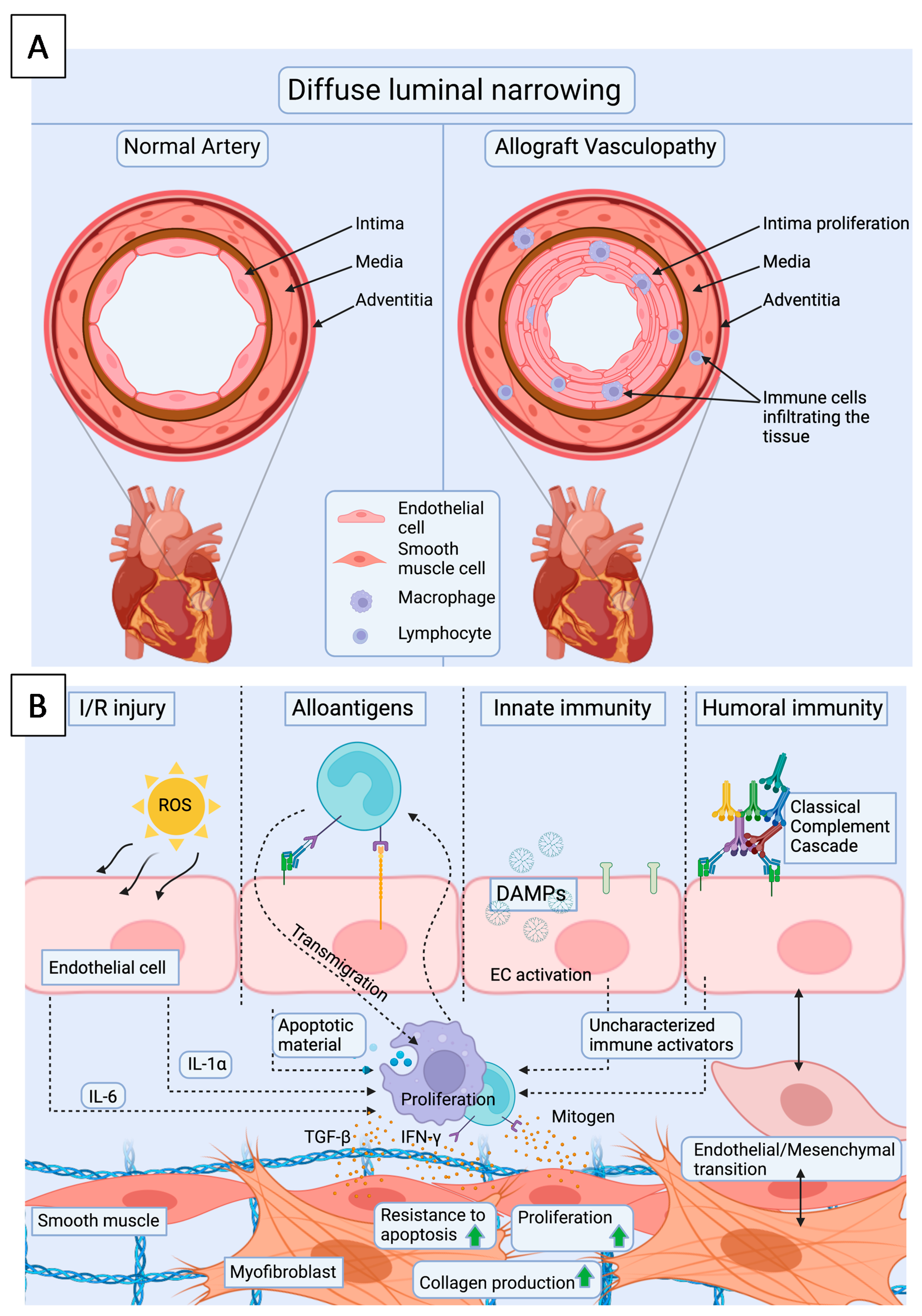 Jcdd 08 00180 g003 Jcdd 08 00180 g003