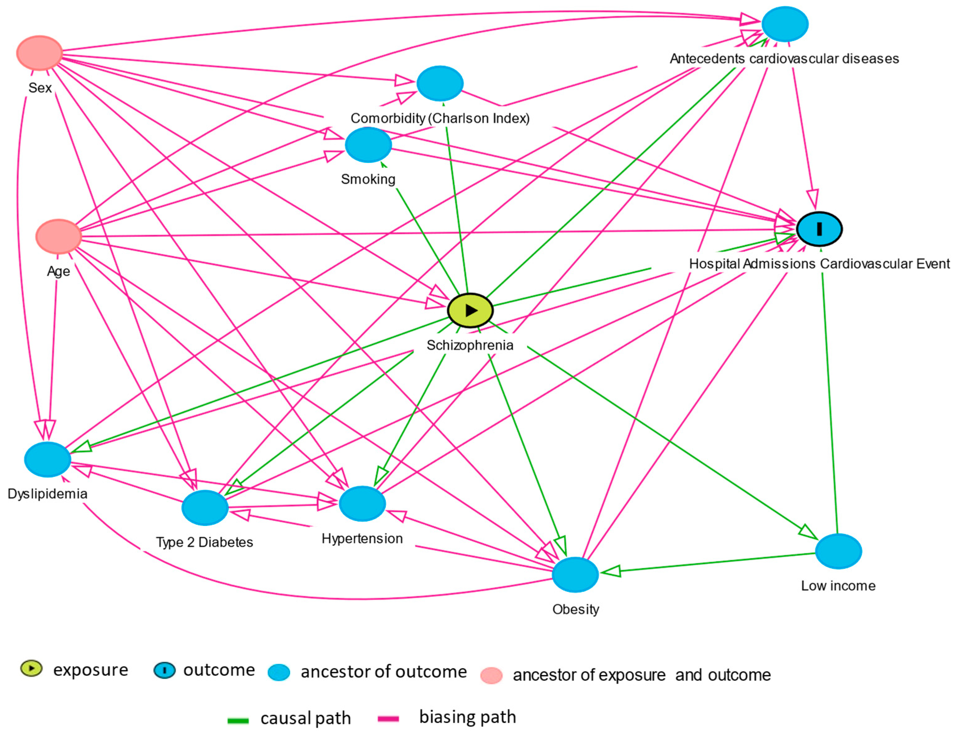 Jcdd 09 00025 g001 550