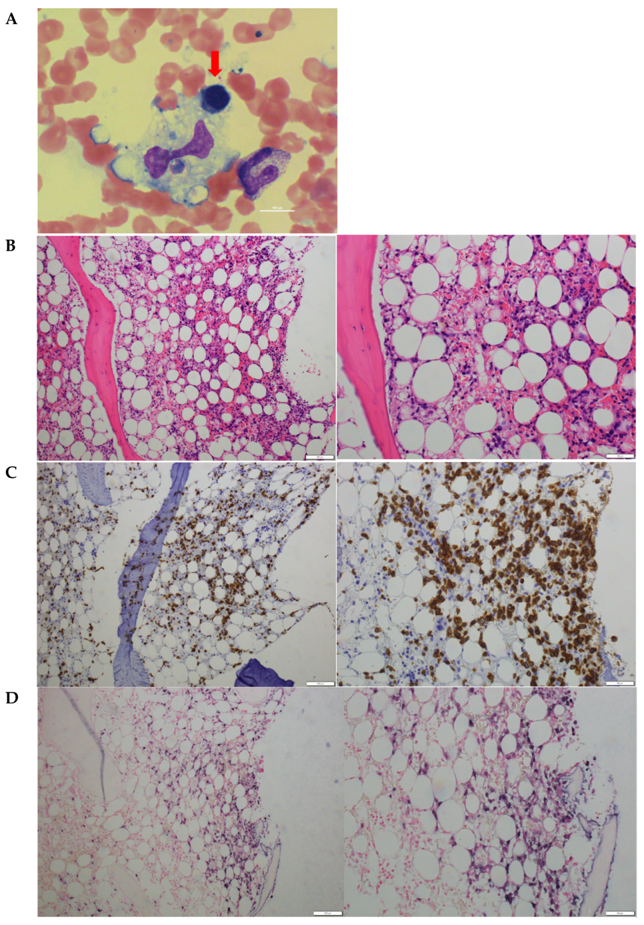 Jcdd 09 00038 g002 550