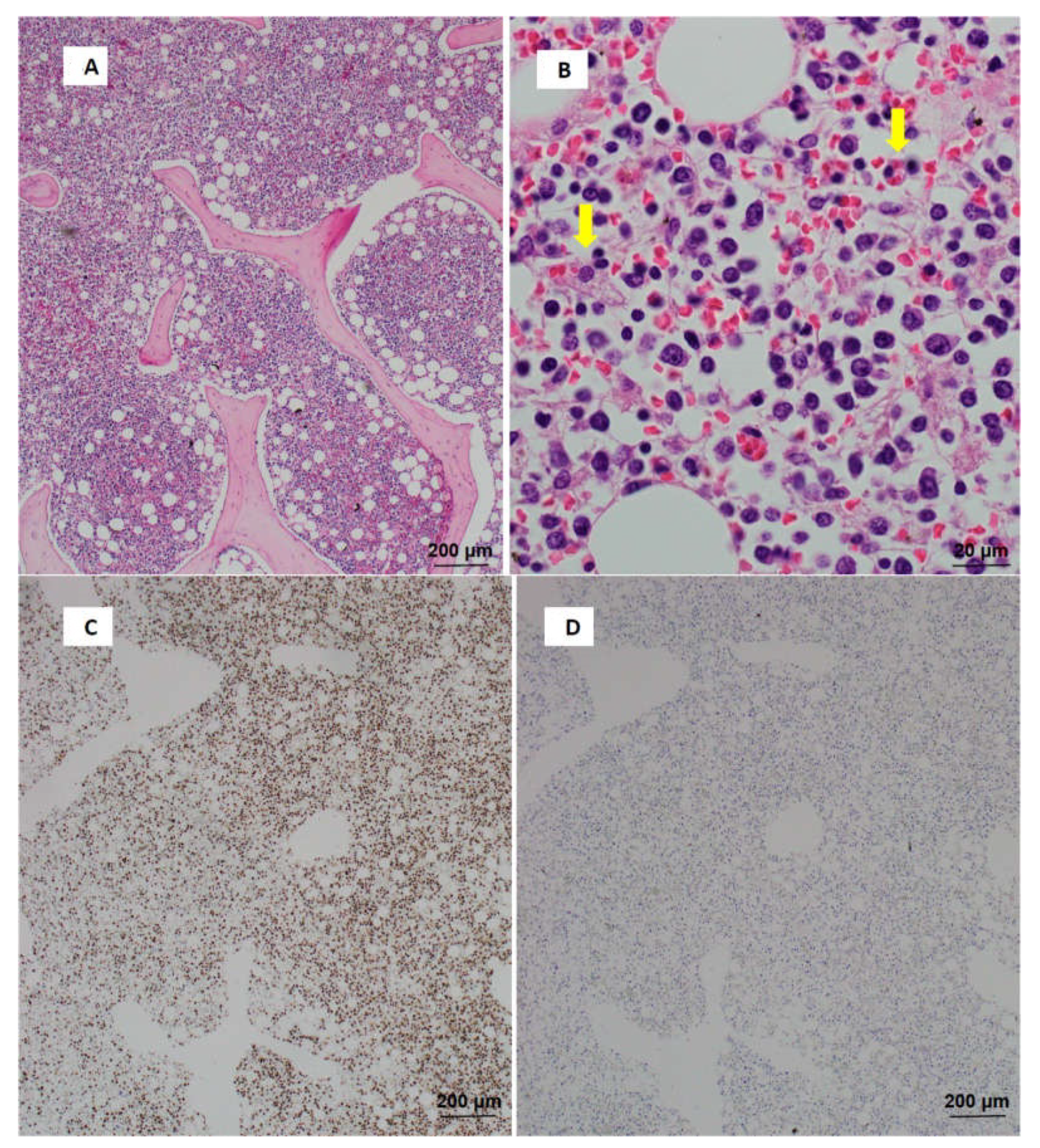 Jcdd 09 00038 g003a 550