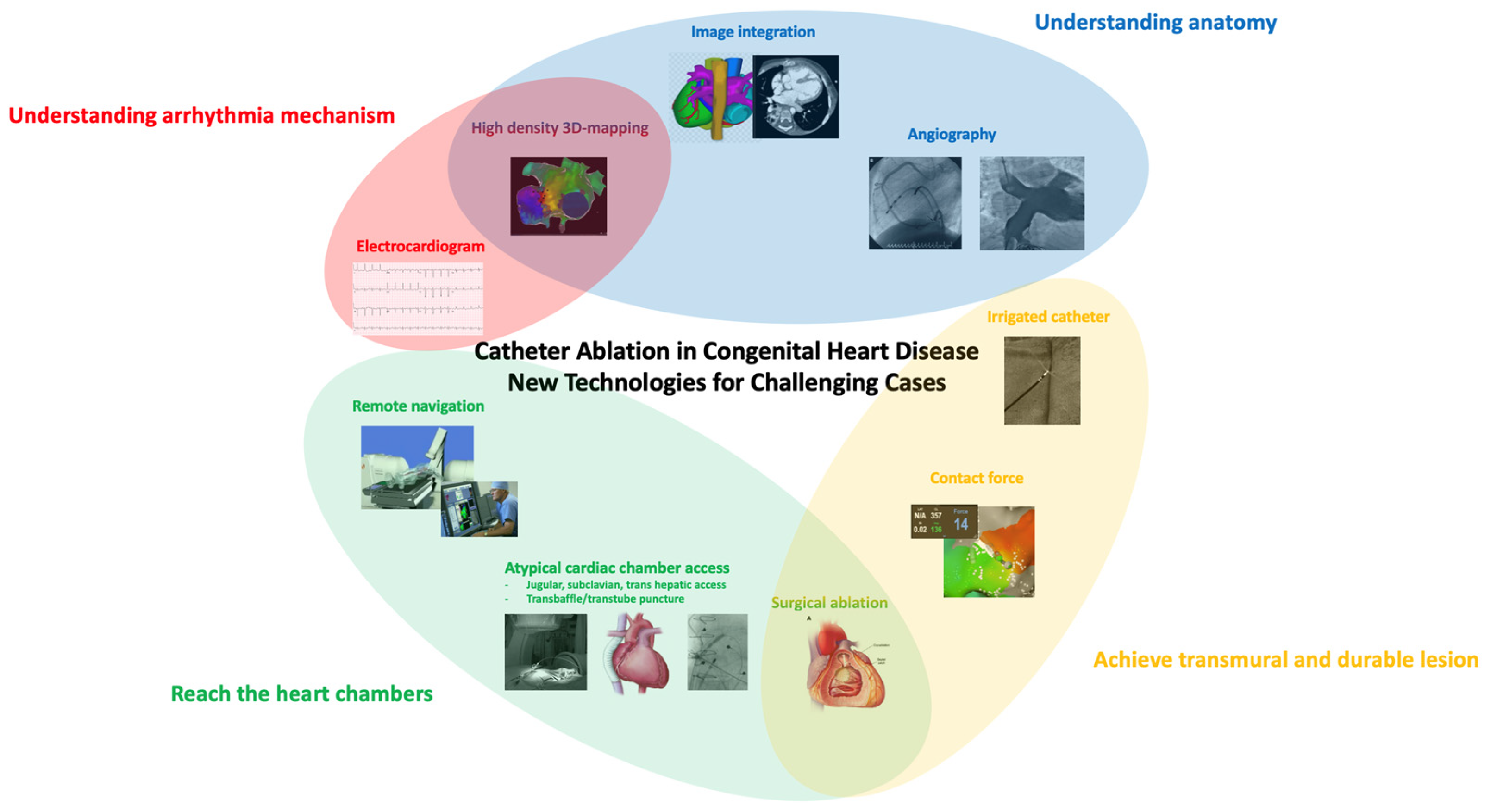 Jcdd 09 00039 g002 Jcdd 09 00039 g002