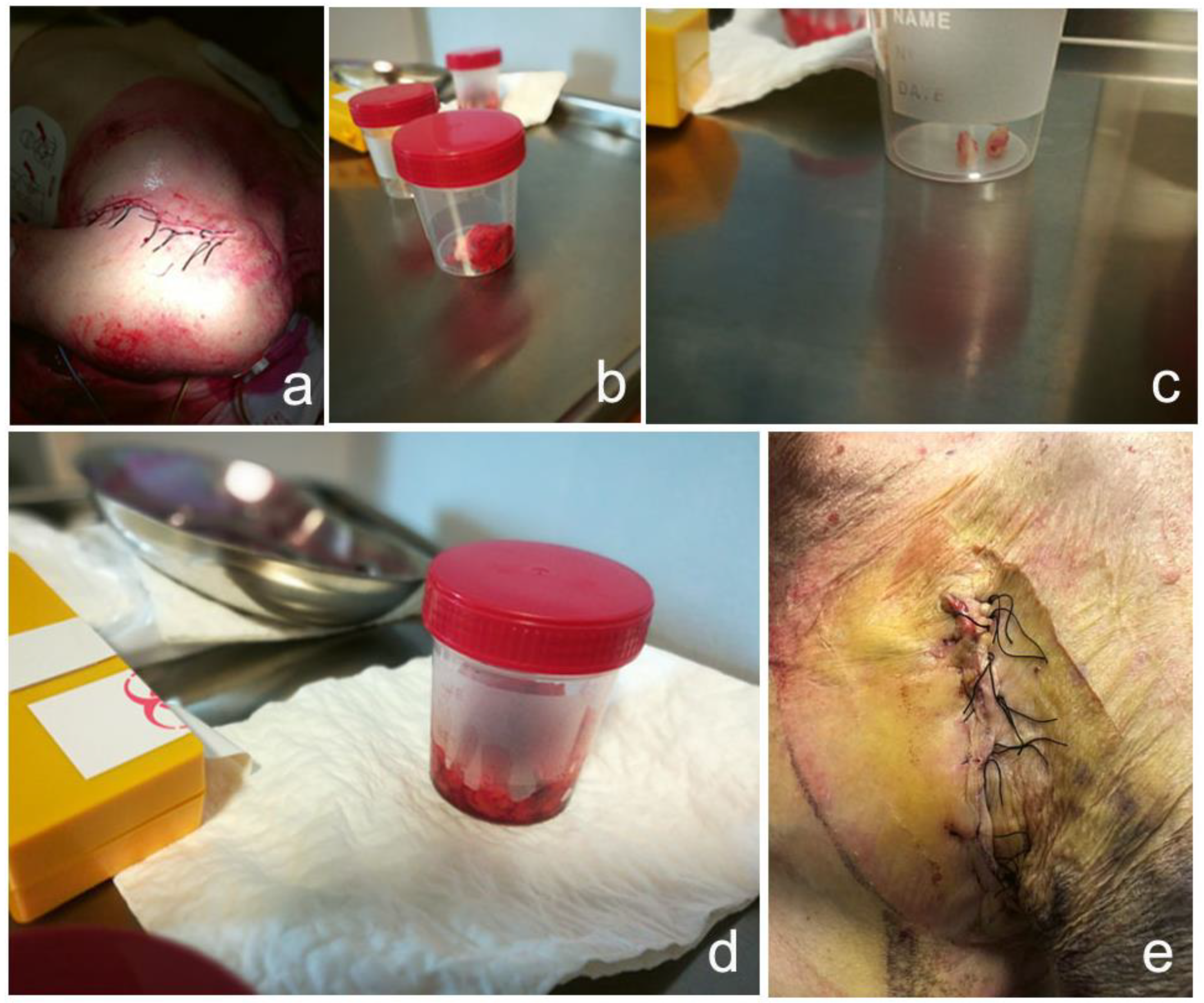 Jcdd 09 00081 g002 Jcdd 09 00081 g002