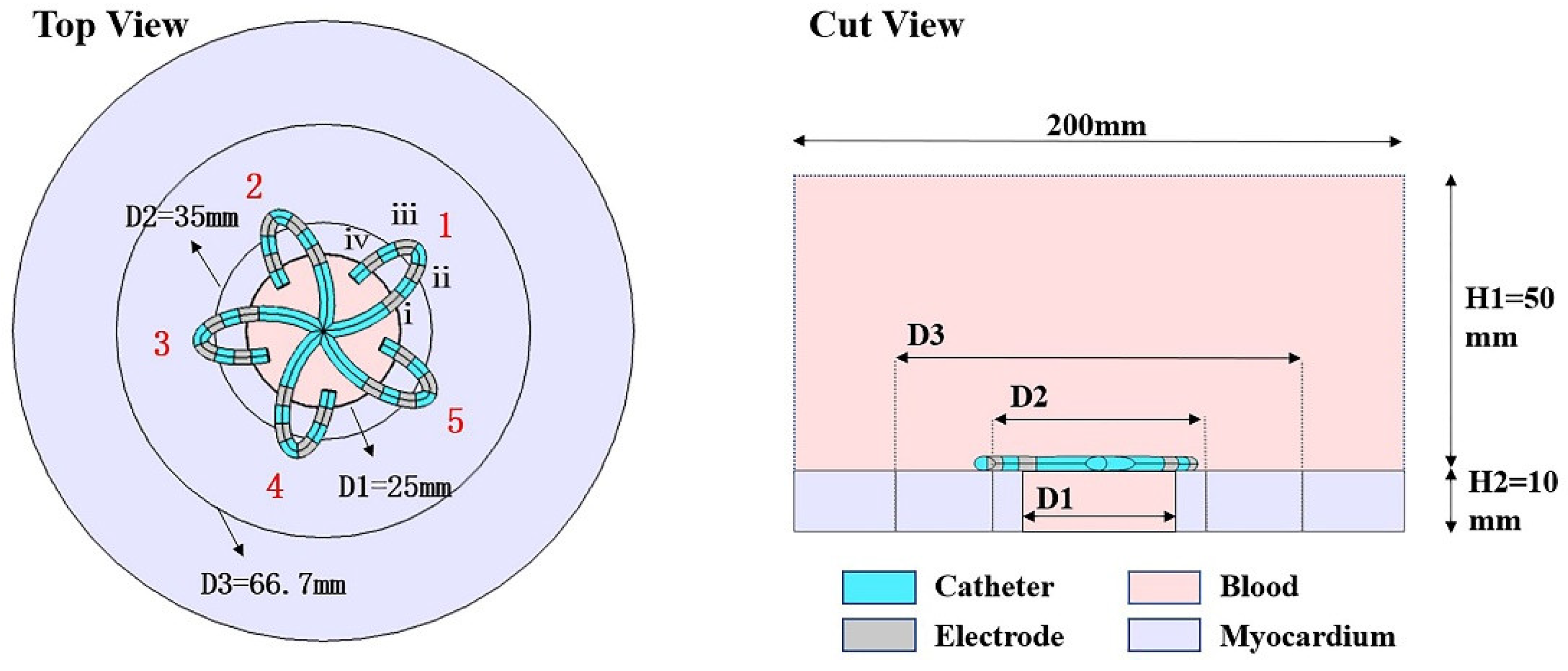 Jcdd 09 00095 g001 Jcdd 09 00095 g001