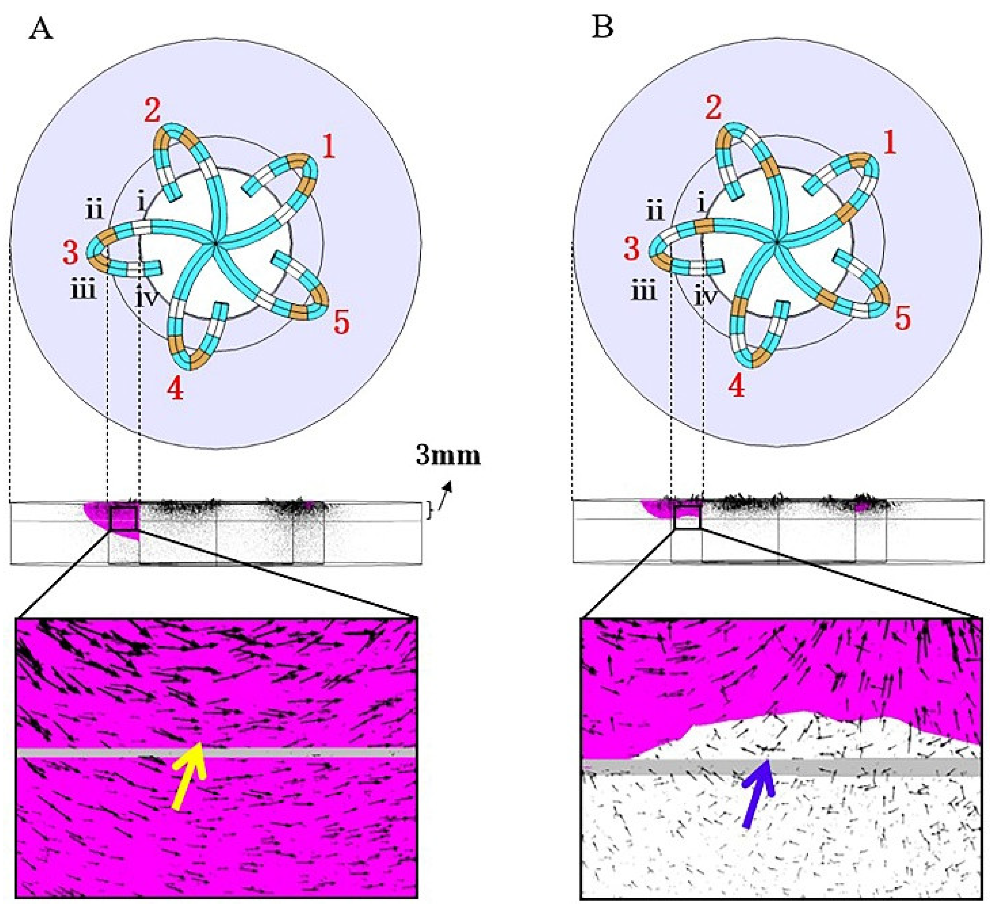 Jcdd 09 00095 g008 Jcdd 09 00095 g008