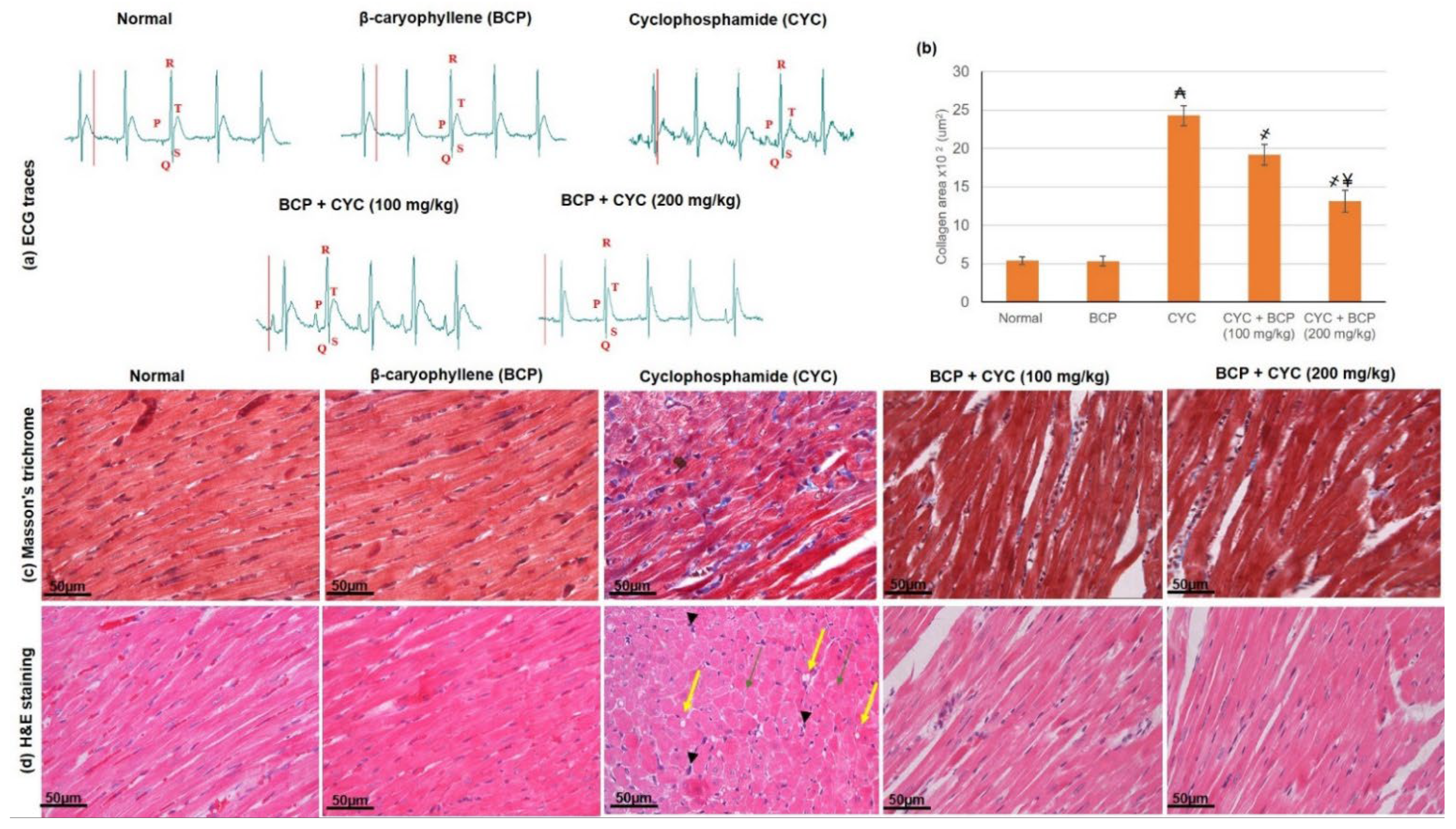 Jcdd 09 00133 g001 550