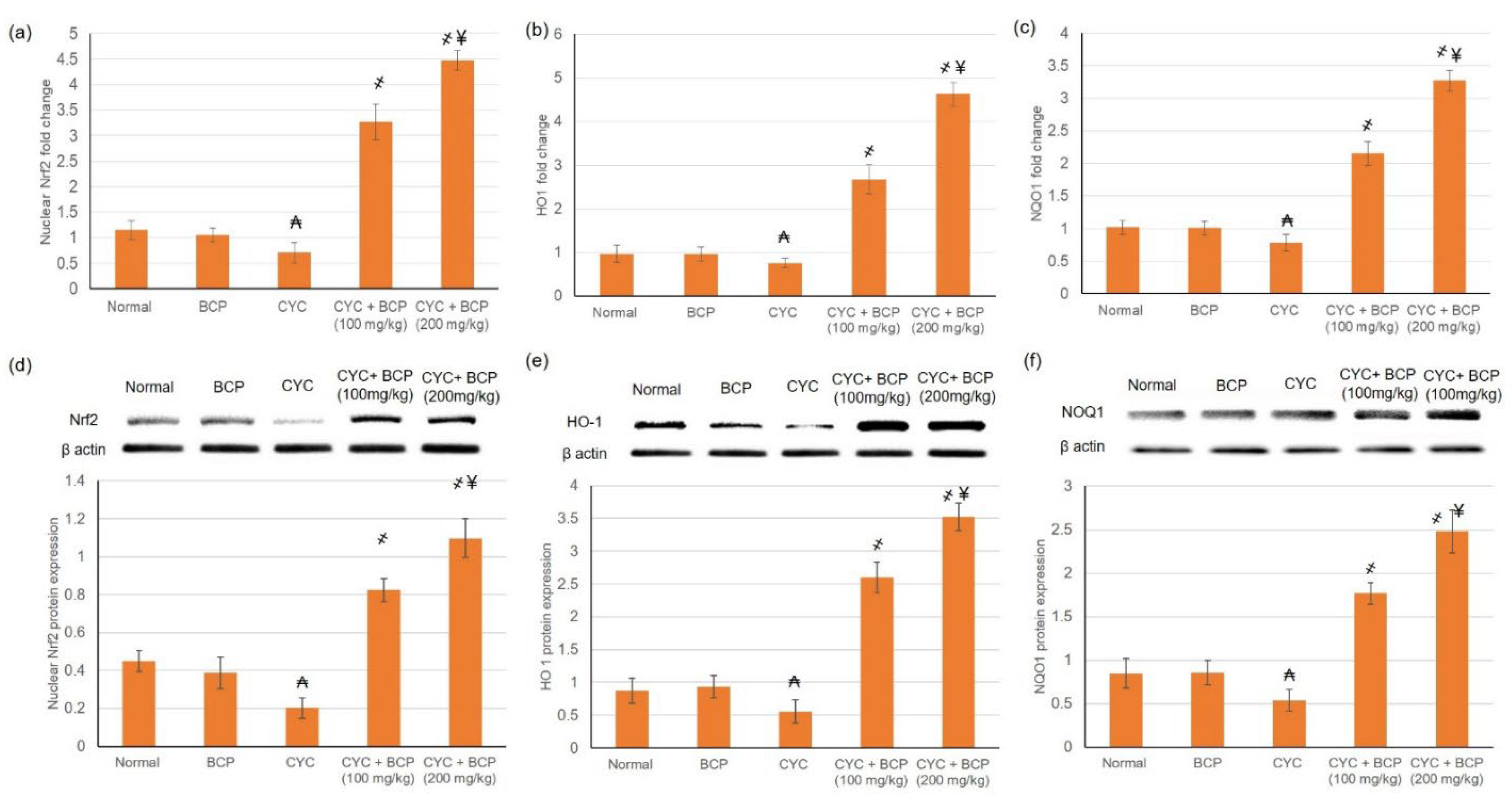 Jcdd 09 00133 g003 550