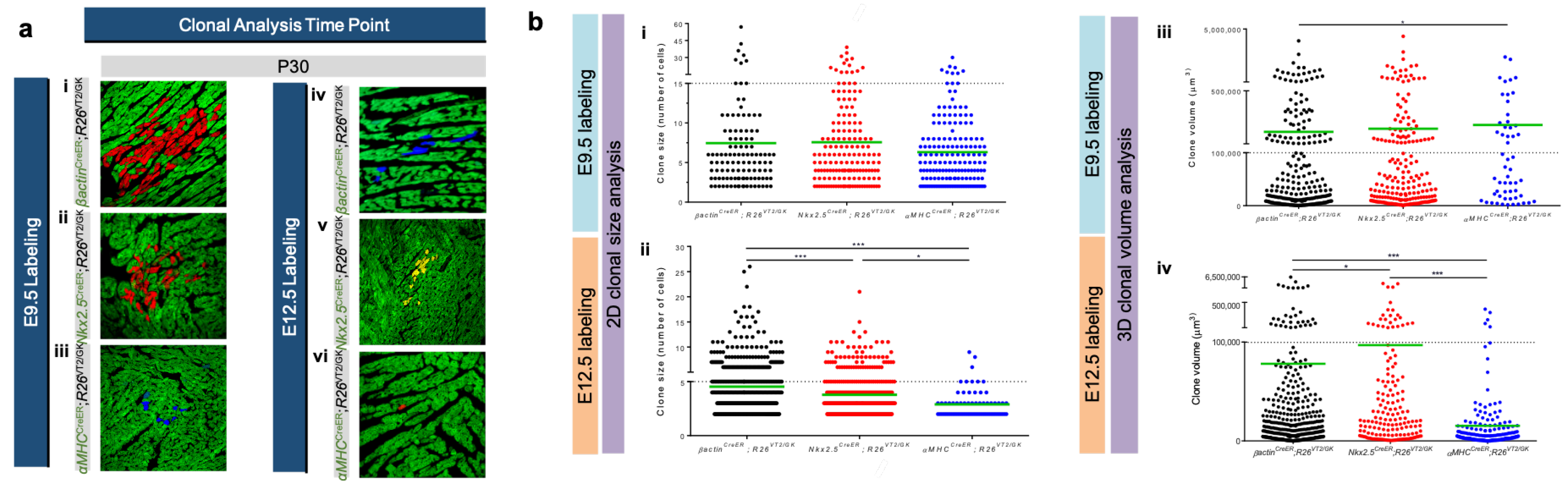 Jcdd 09 00141 g005 Jcdd 09 00141 g005