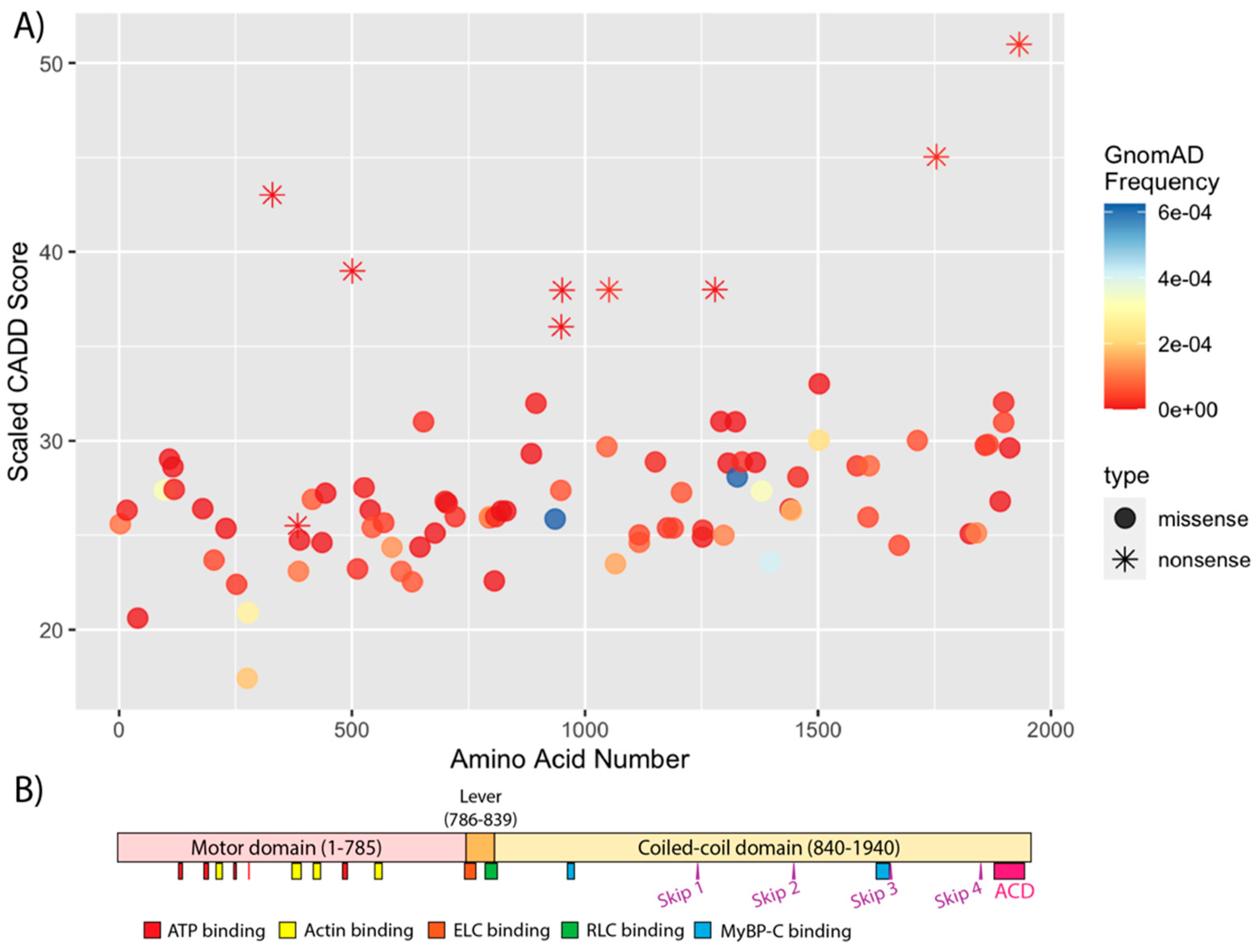 Jcdd 09 00144 g002 Jcdd 09 00144 g002