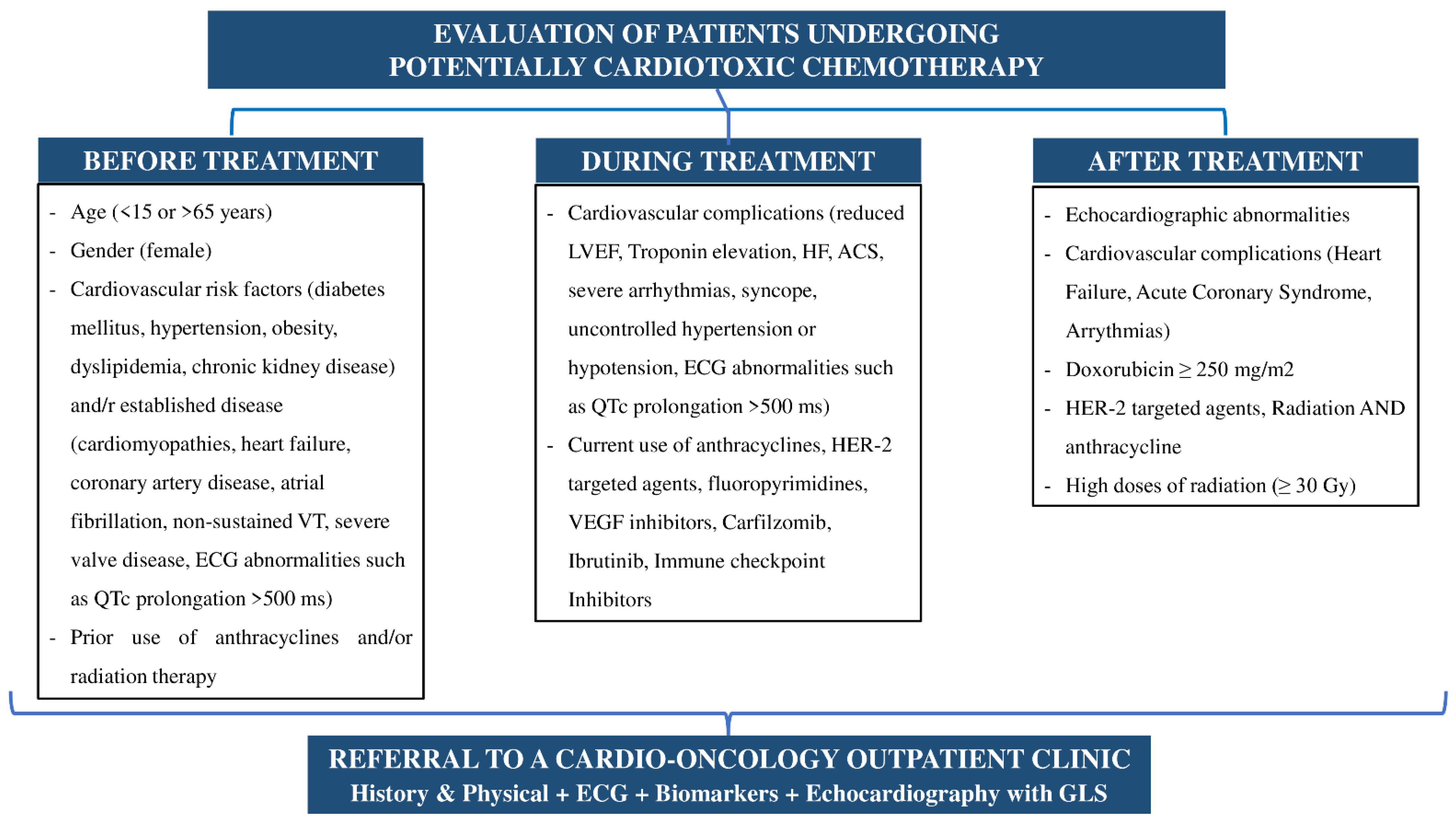 Practical Approaches to Build and Sustain a Cardio Oncology Clinic